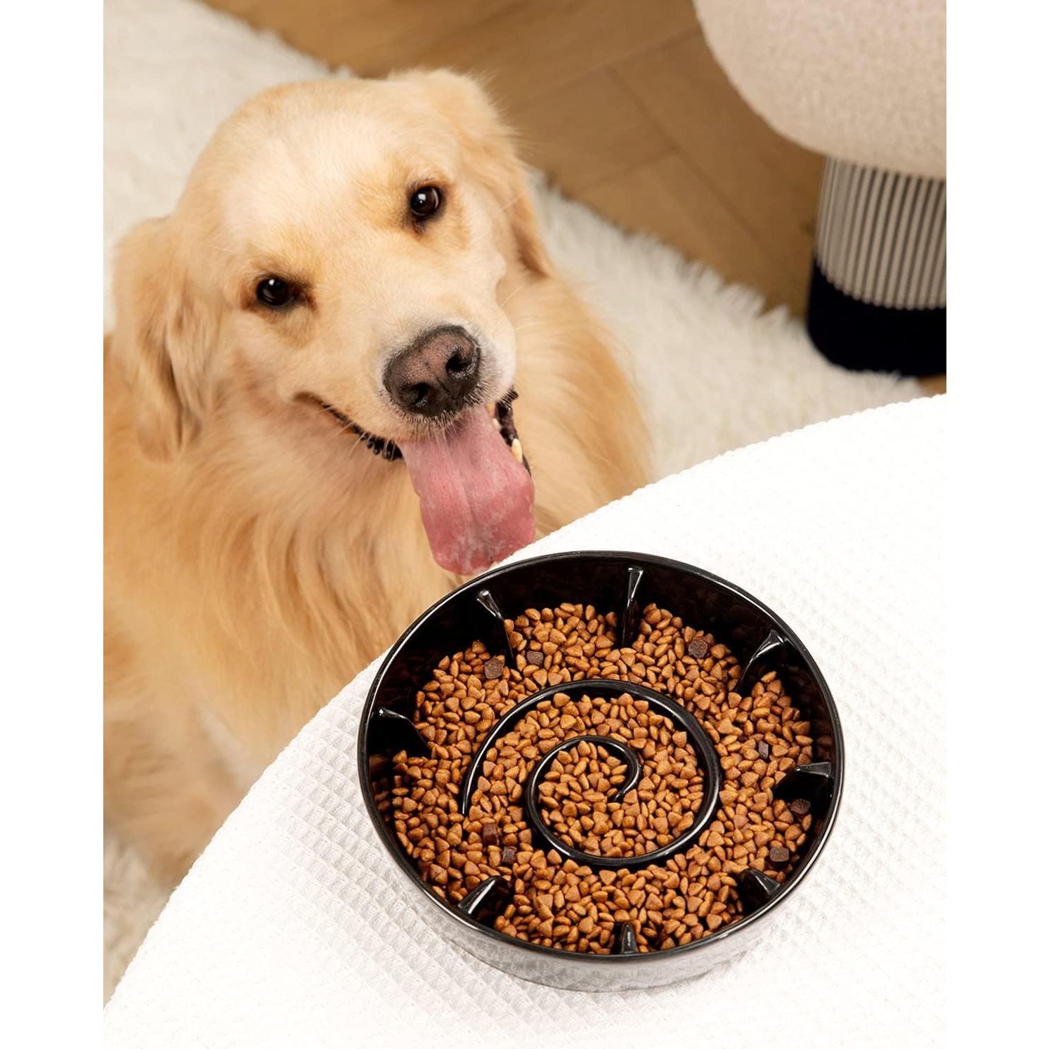 Cuenco de Cerámica Antideslizante para Perros 1.5 Tazas BEGUKO