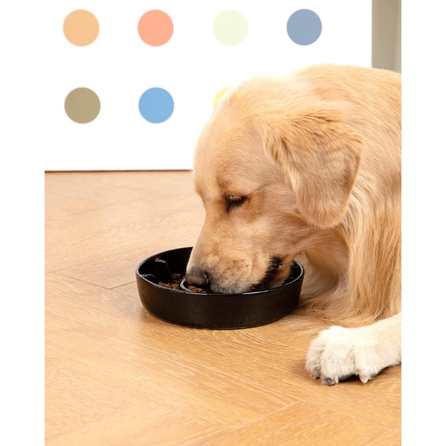 Cuenco de Cerámica para Perros BEGUKO 1.5 Tazas Antideslizante