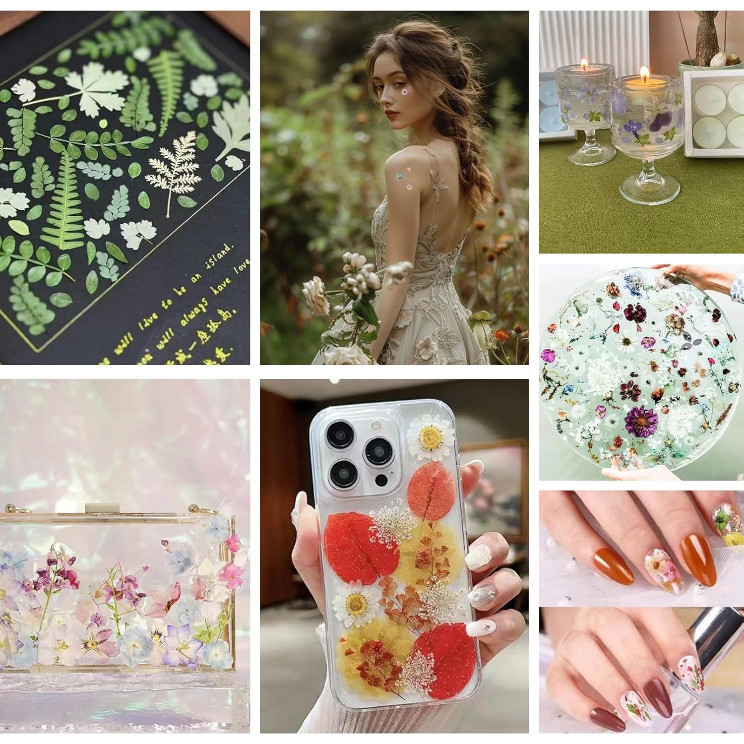 Kit de Flores Secas Presionadas Nisetten - 150 Piezas Coloridas