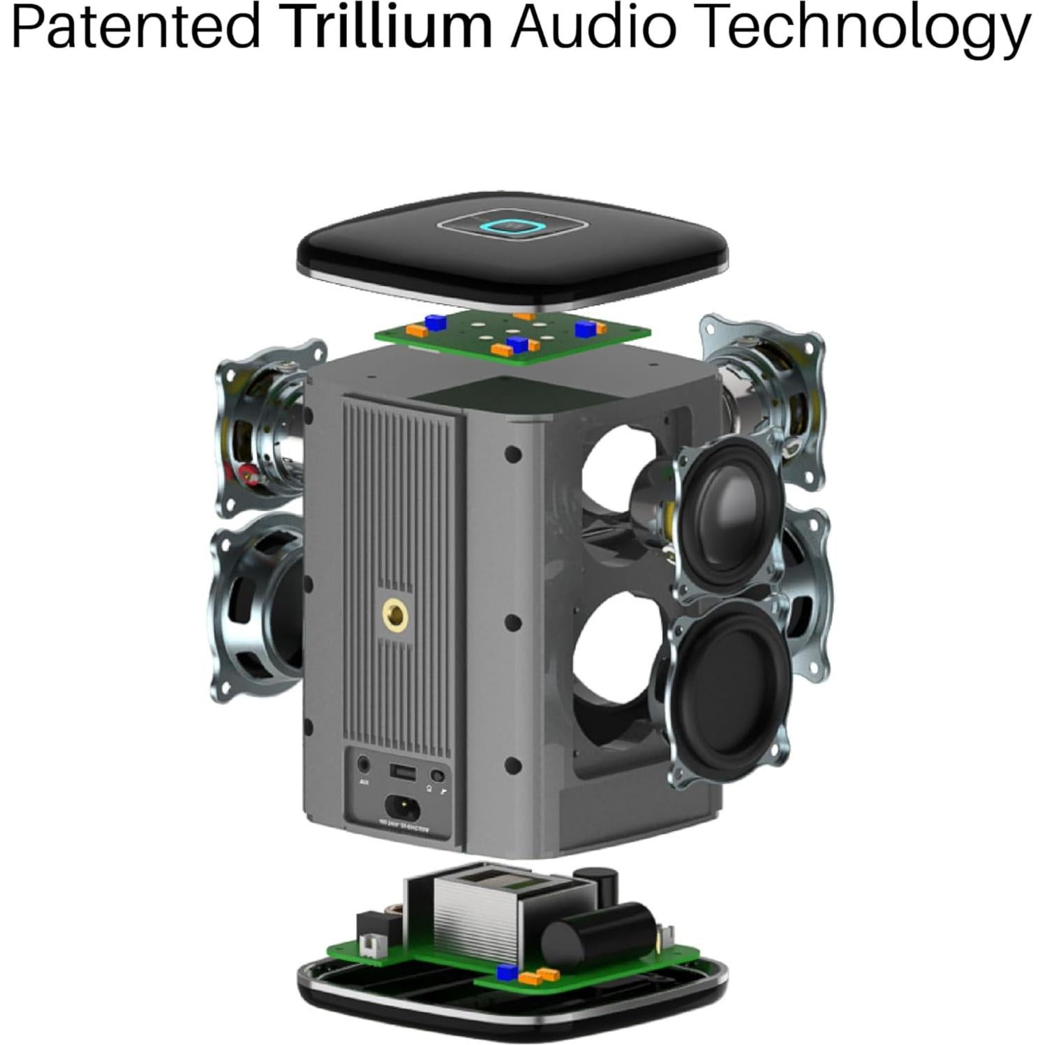 Altavoz RIVA Arena Hi-Fi Bluetooth 50W Multiroom Negro