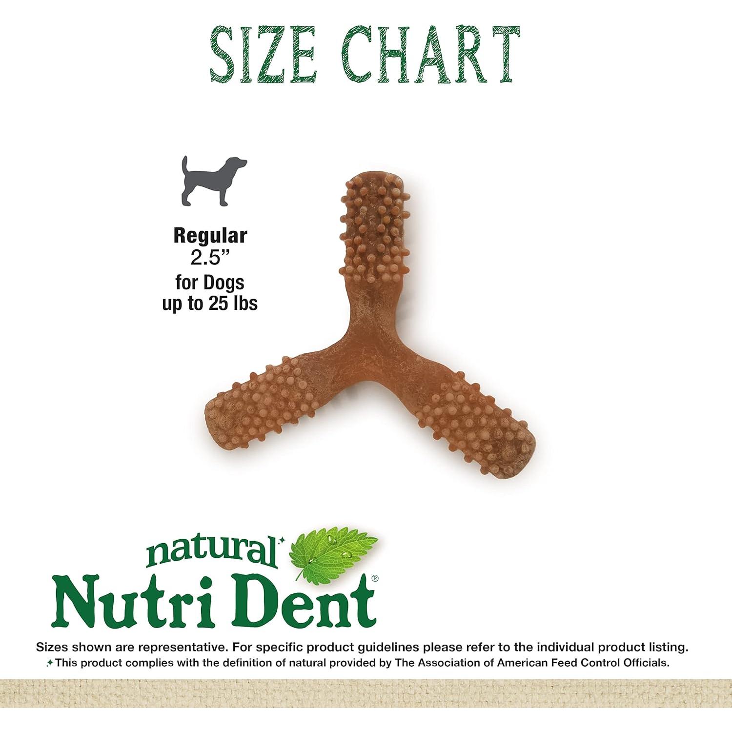 Golosinas Dentales para Perros Nylabone Nutri Dent 298g Sabor Filet Mignon