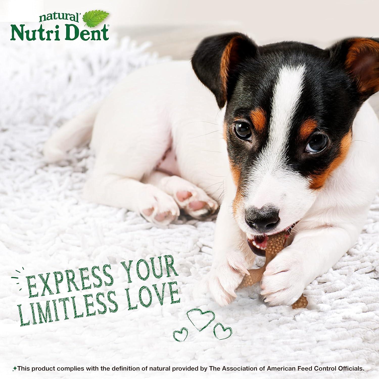 Golosinas Dentales para Perros Nylabone Nutri Dent 298g Sabor Filet Mignon