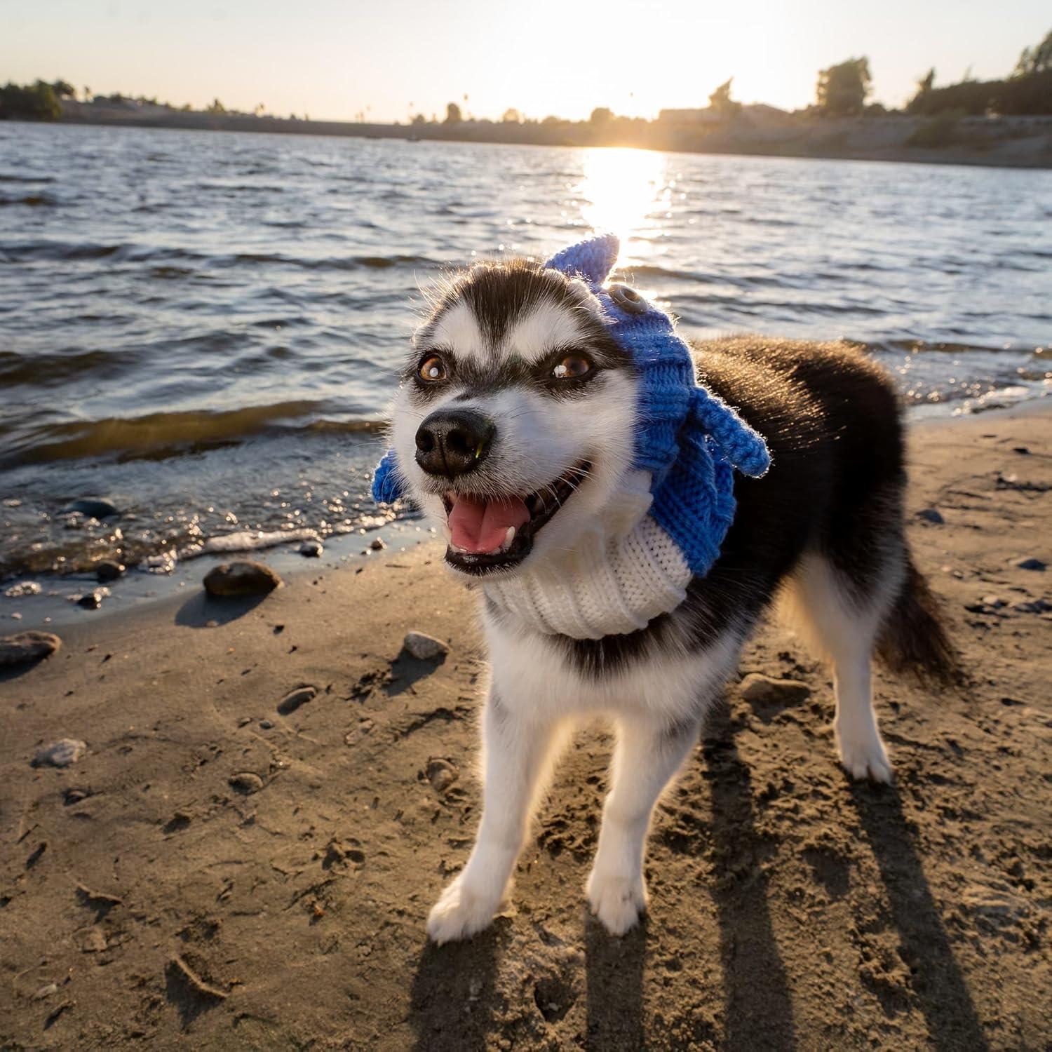 Bufanda de Perro Tejida a Mano Zoo Snoods - Baby Shark Azul Pequeño