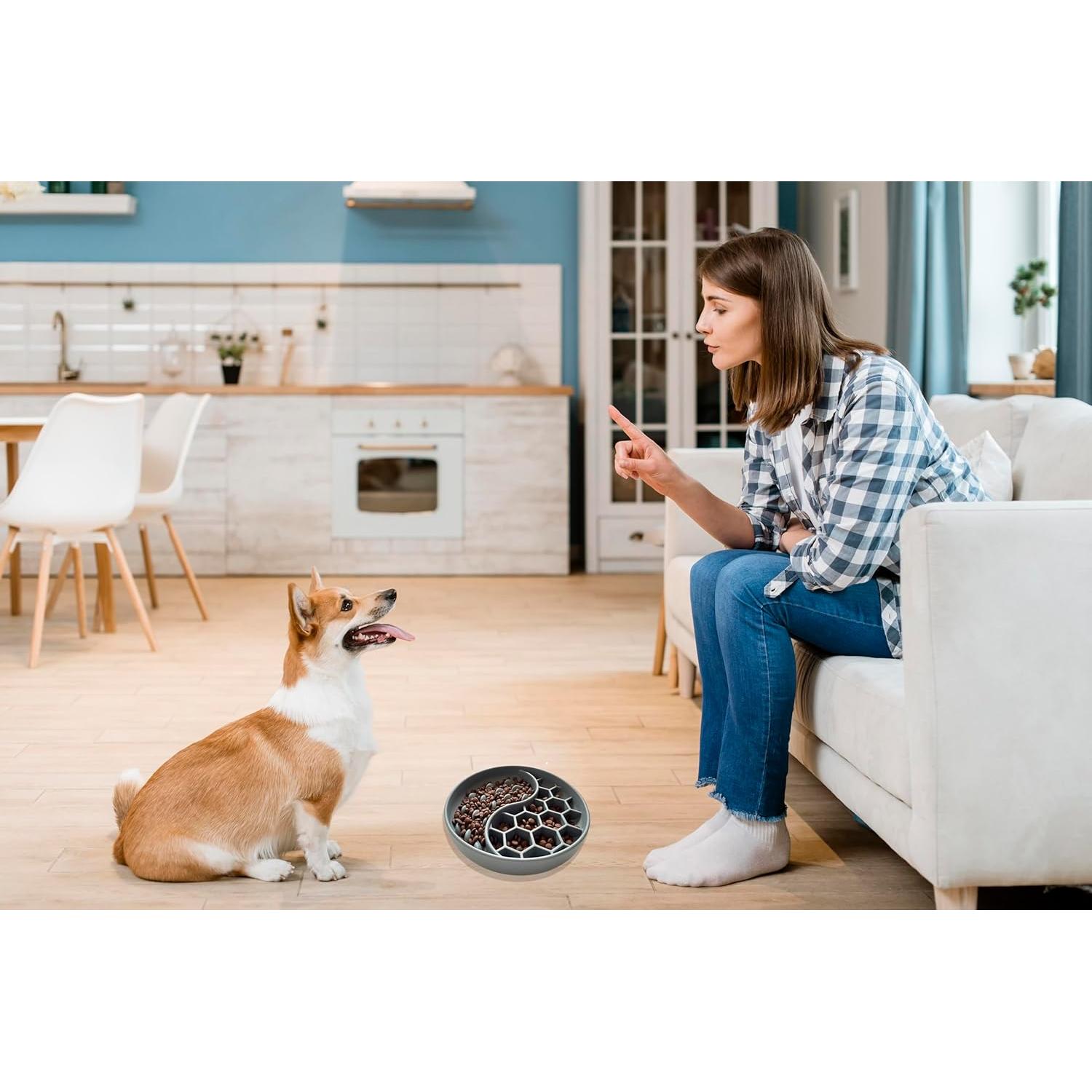 Cuenco Antideslizante para Perros AVYDIIF 25.4cm Gris