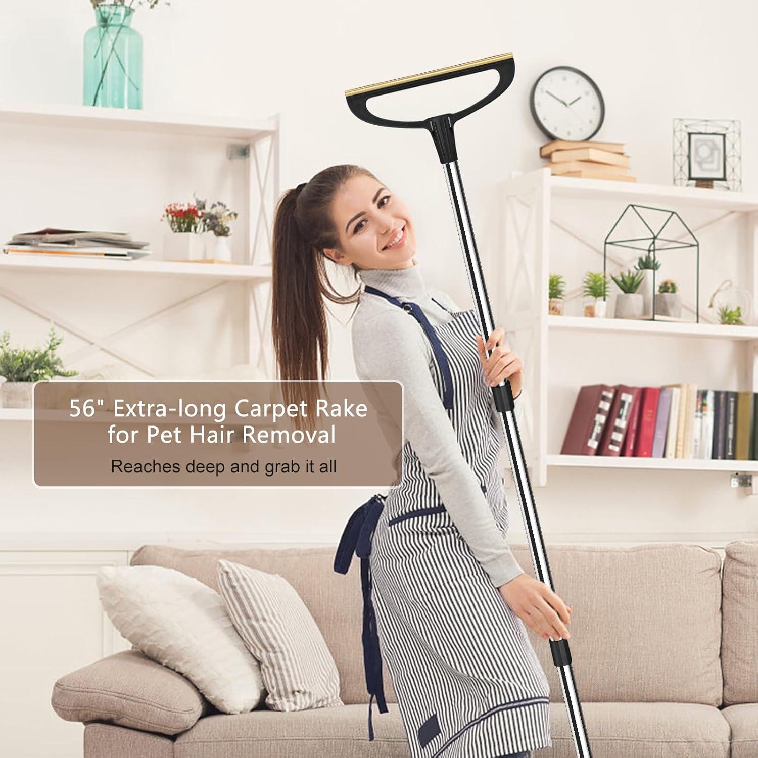 Rastrillo para Alfombra AIZAL 142 cm Eliminador Pelo Mascotas