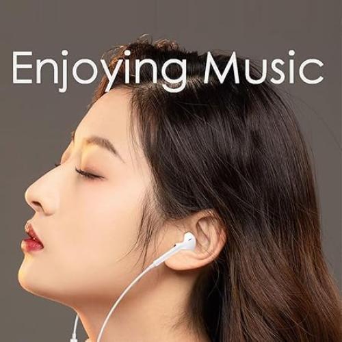 Auriculares Intraurales Wedawn WD-ED-E 3.5mm con Micrófono