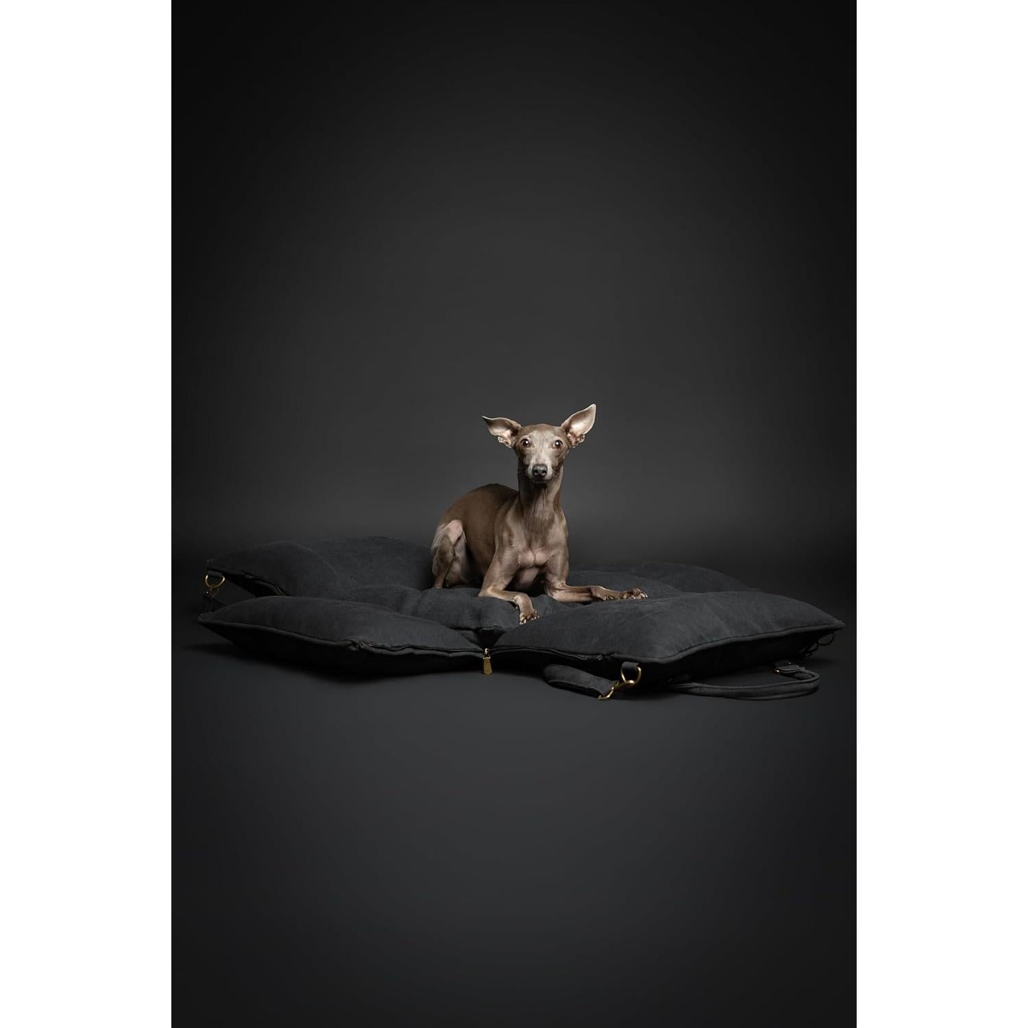 Asiento de Coche para Perros Noah & Paw Mediano Negro