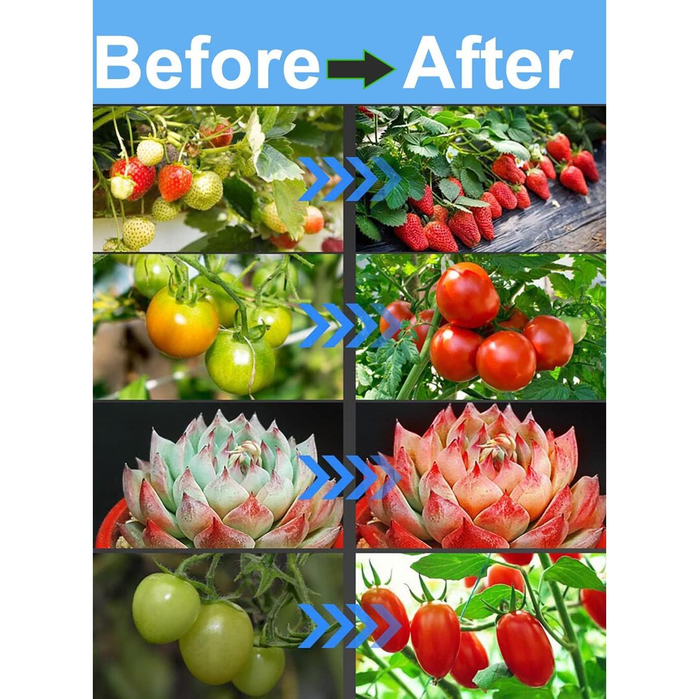 Kit Completo Carpa de Cultivo iMeshbean 61x61x140cm LED 38W