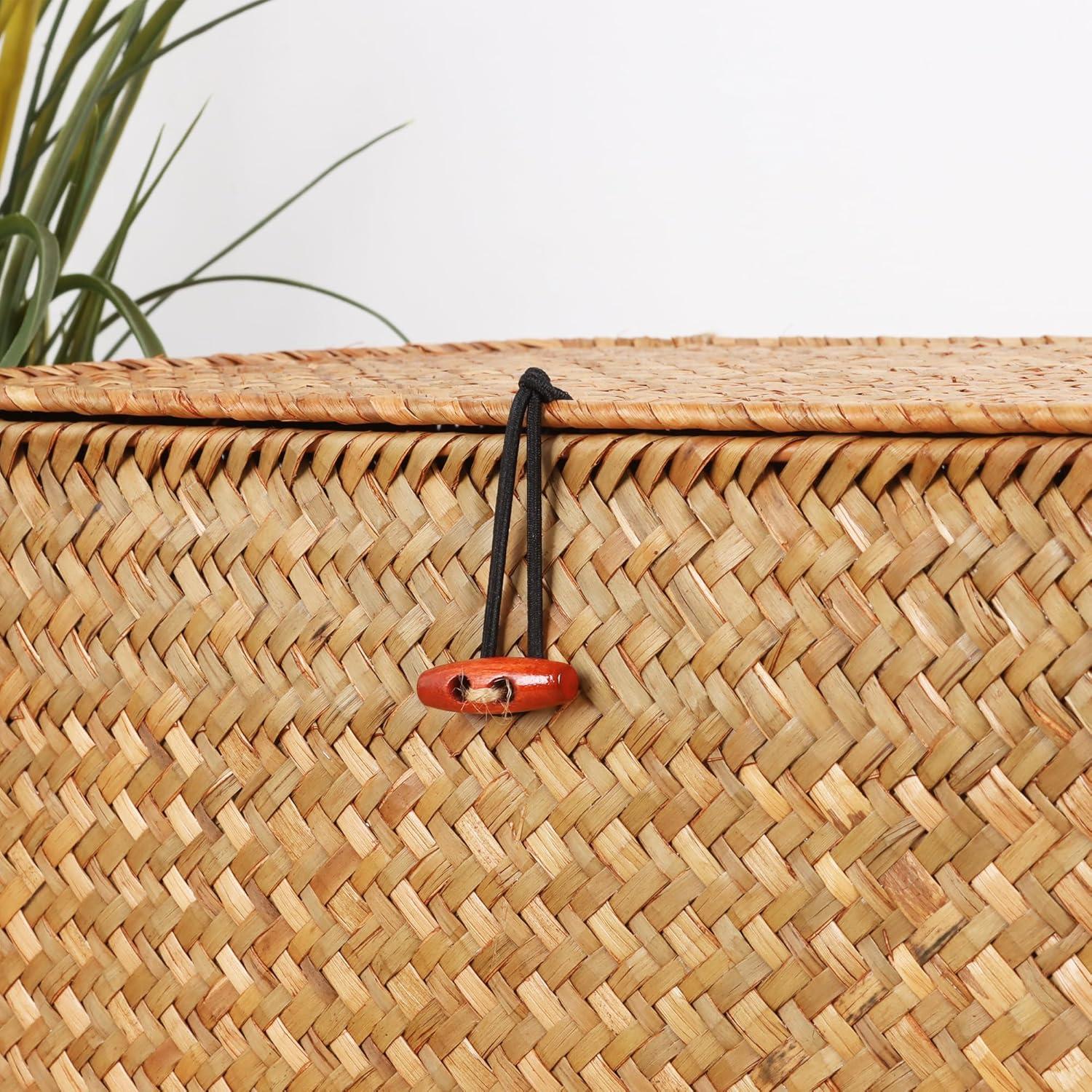 Cesta de Mimbre con Tapa Moosky 26x14x11 cm Tejida a Mano