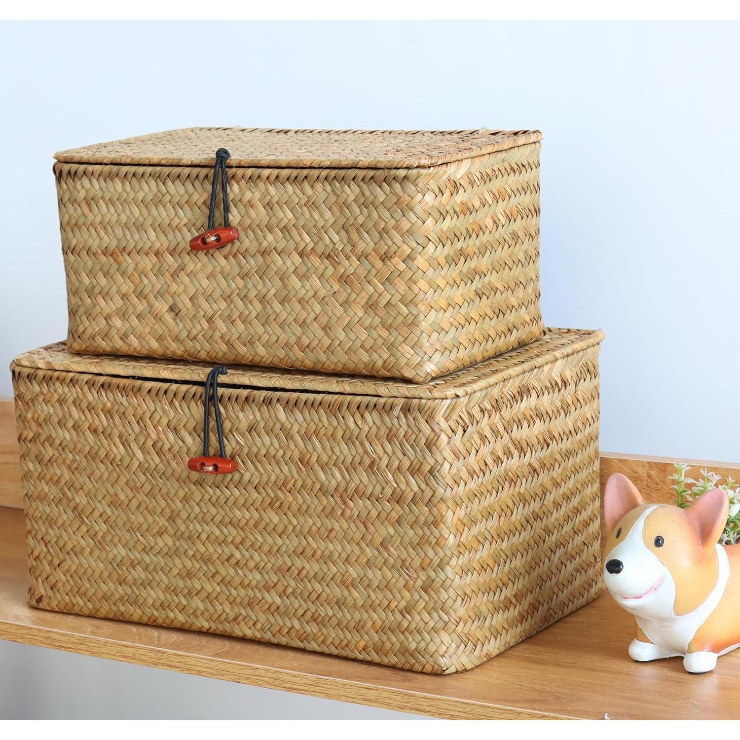 Cesta de Mimbre con Tapa Moosky 26x14x11 cm Tejida a Mano