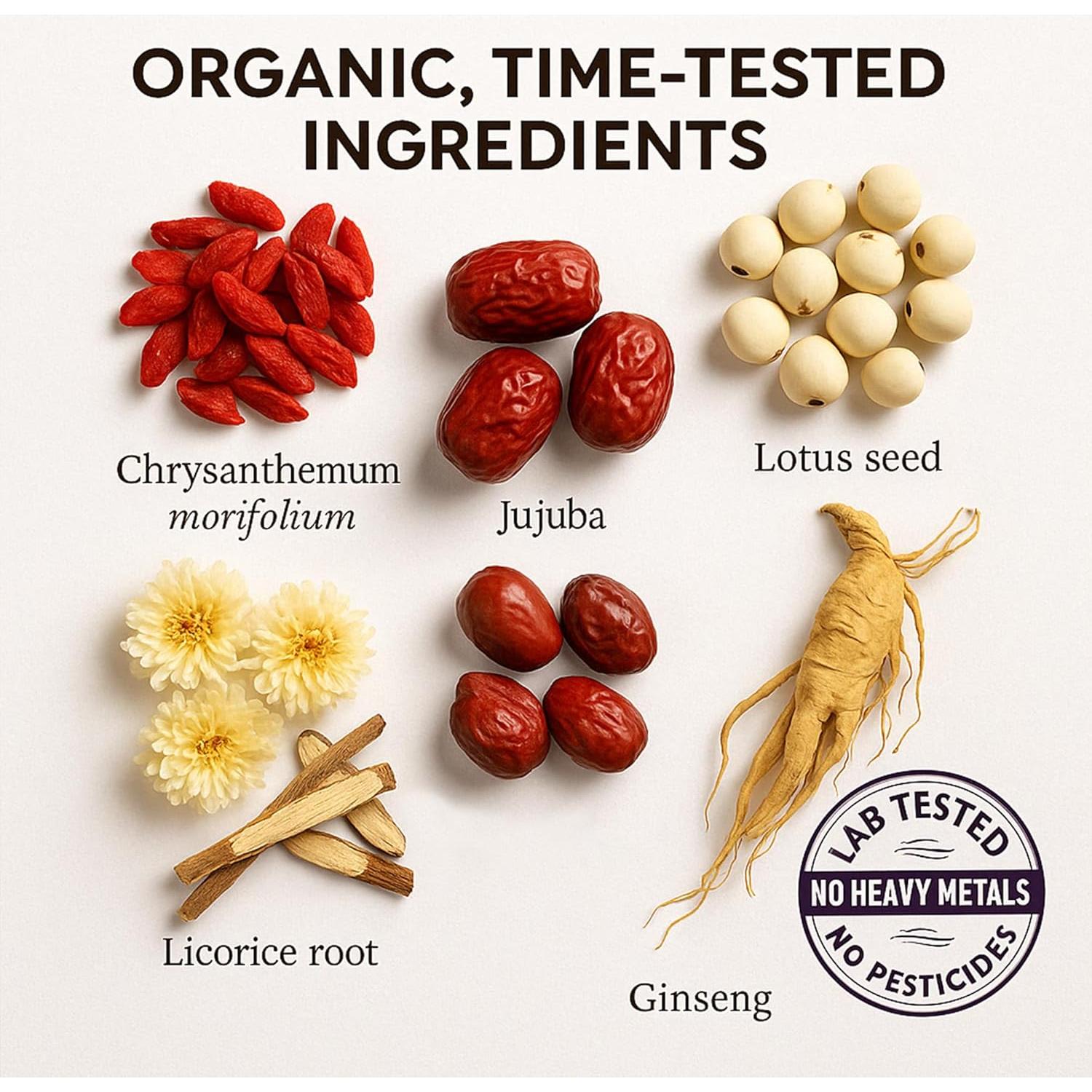 CHI Té de Recuperación en Bolsitas - Herb Guru 24.9g