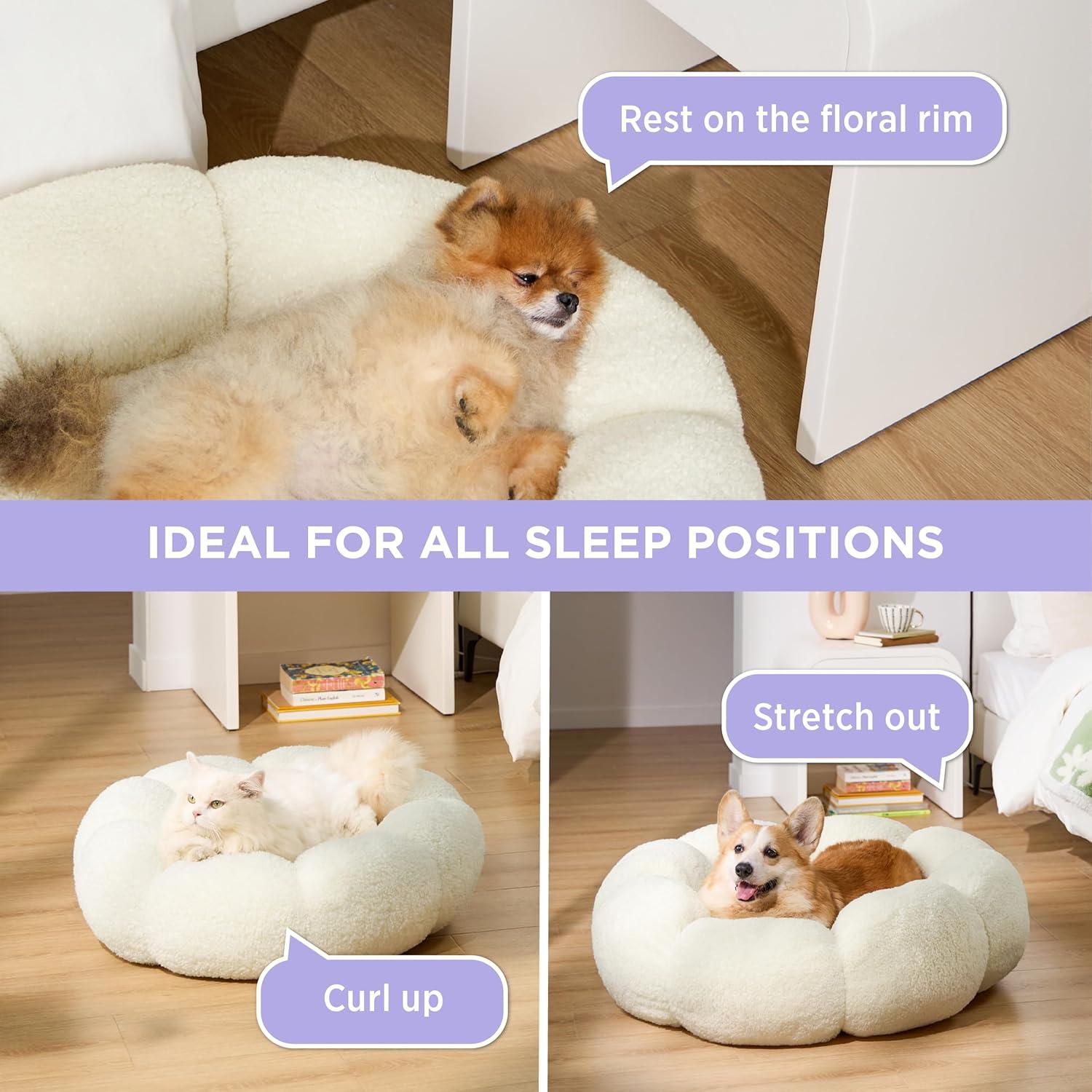 Cama para Gatos y Perros Lesure - Flor Terciopelo Crema