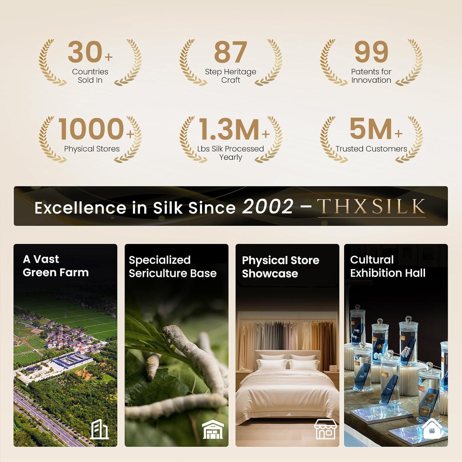 Funda de Almohada de Seda de Morera THXSILK Estándar Azul - Juego de 2