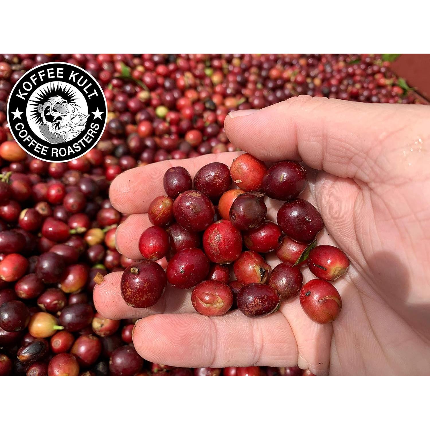 Café Koffee Kult Colombiano Tostado Medio Grano Entero 340g