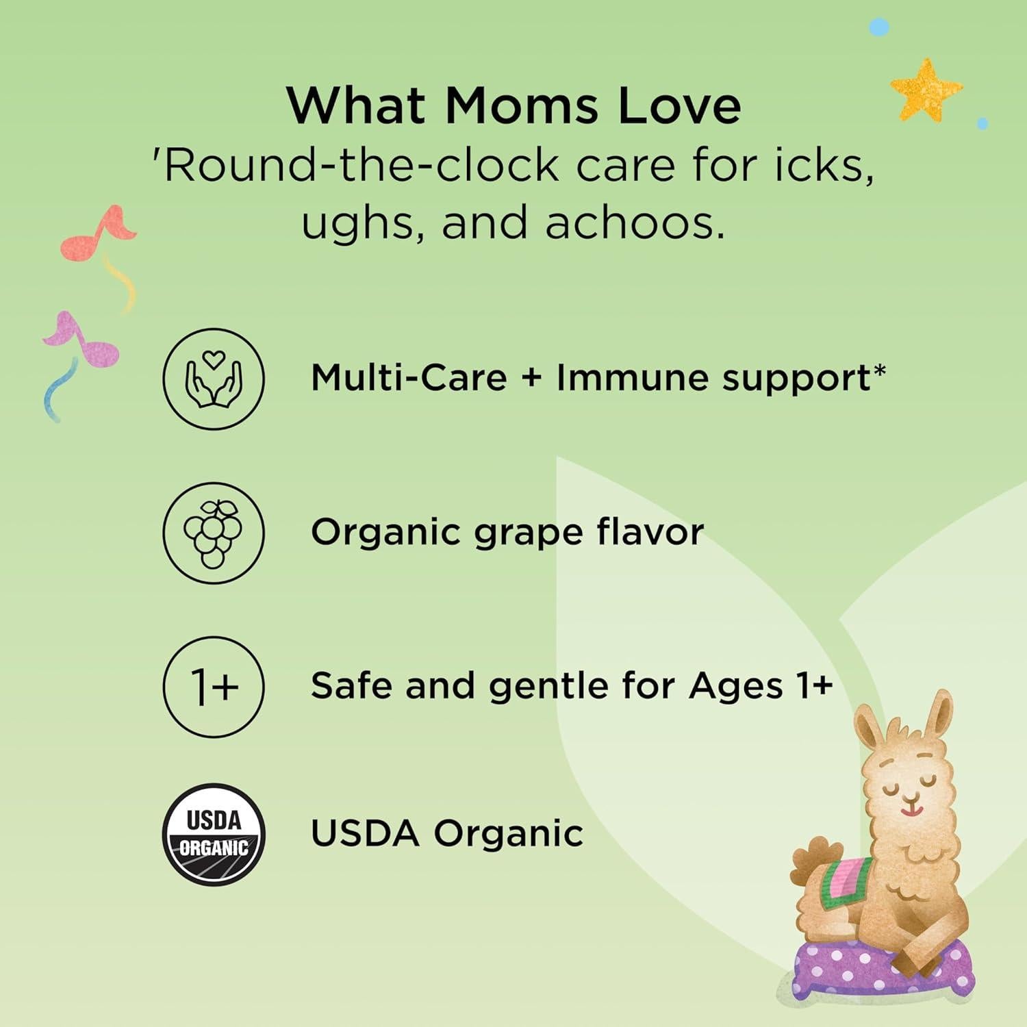 Jarabe para la tos orgánico Hyland's para niños 2x113.4ml