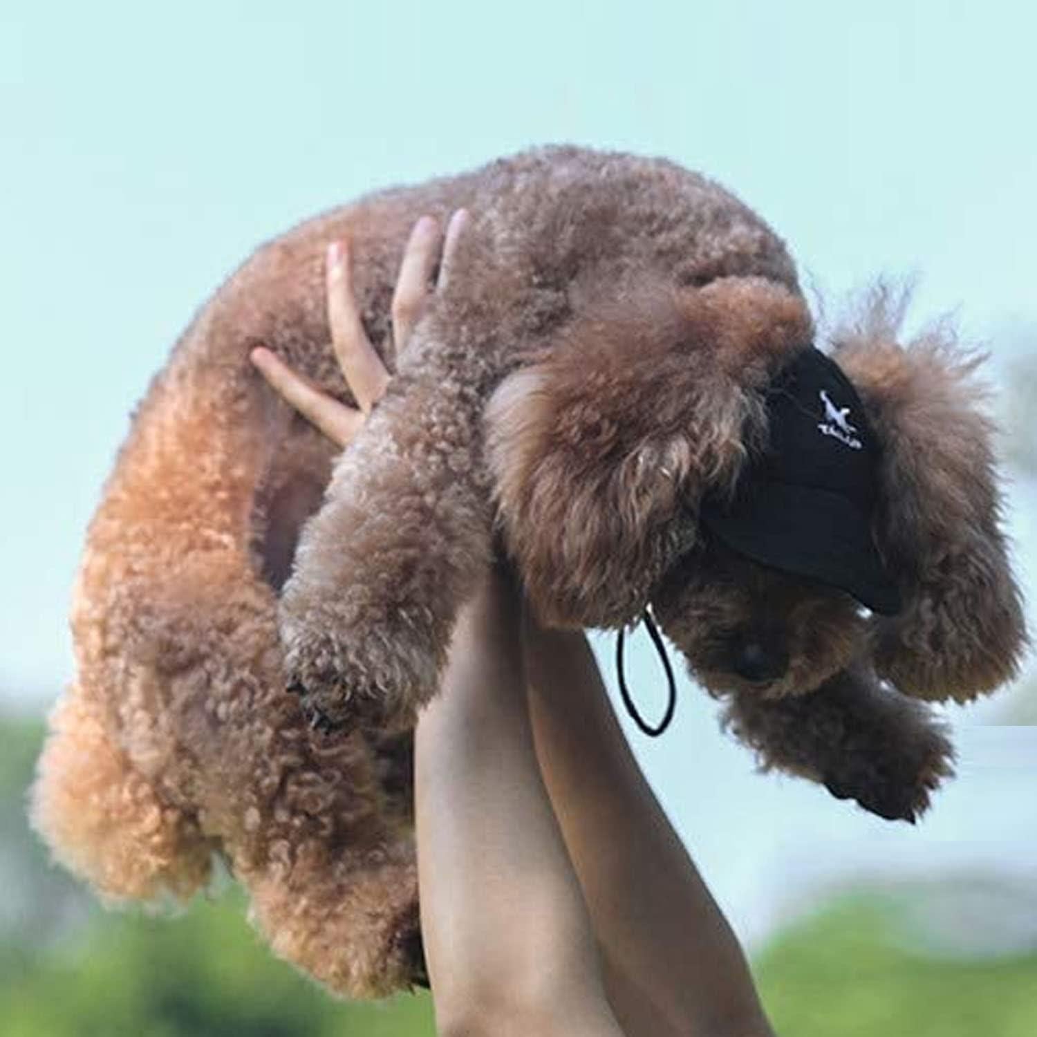 Gorra para Perros HDKUW Ajustable Negra Tamaño S