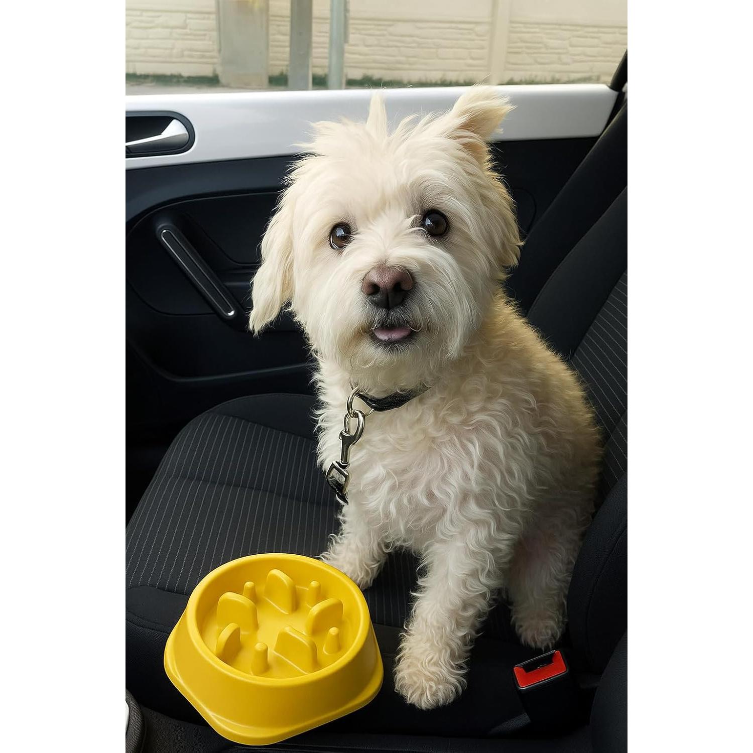 Cuenco Antiahogo YRPETS para Perros y Gatos Amarillo 19.5cm