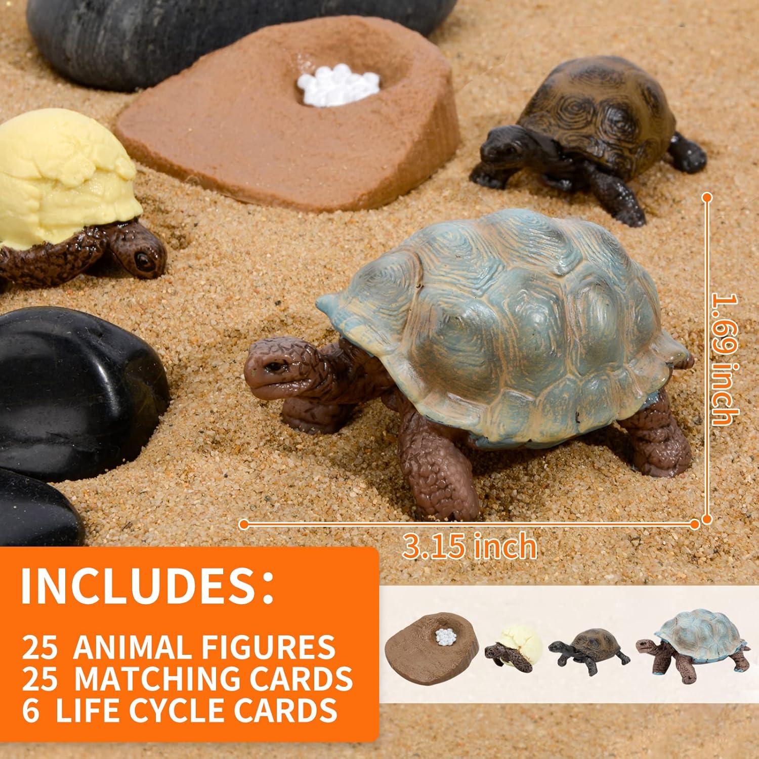 Figuras de Ciclo de Vida Montessori MIKNEKE - 6 Animales