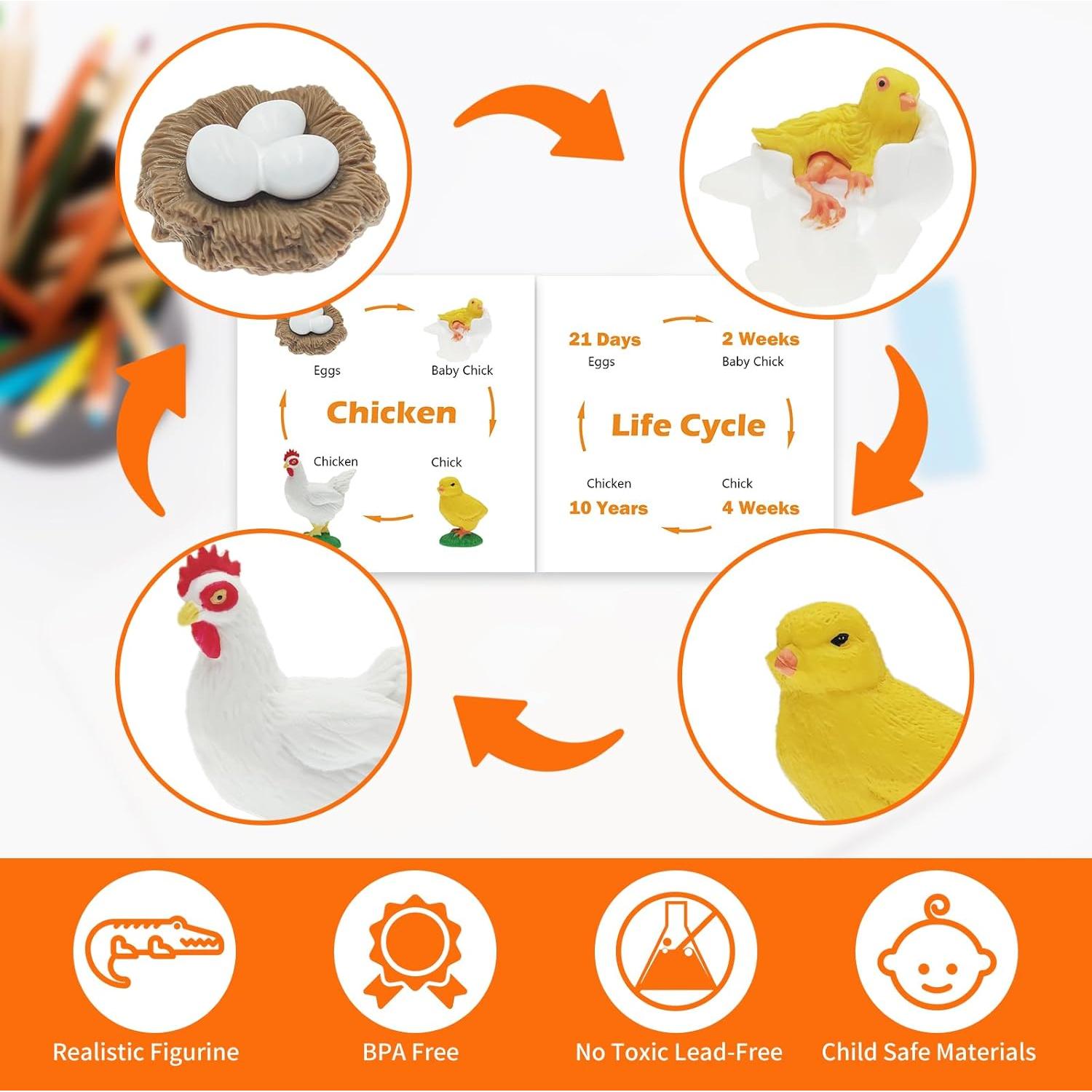 Figuras de Ciclo de Vida Montessori MIKNEKE - 6 Animales