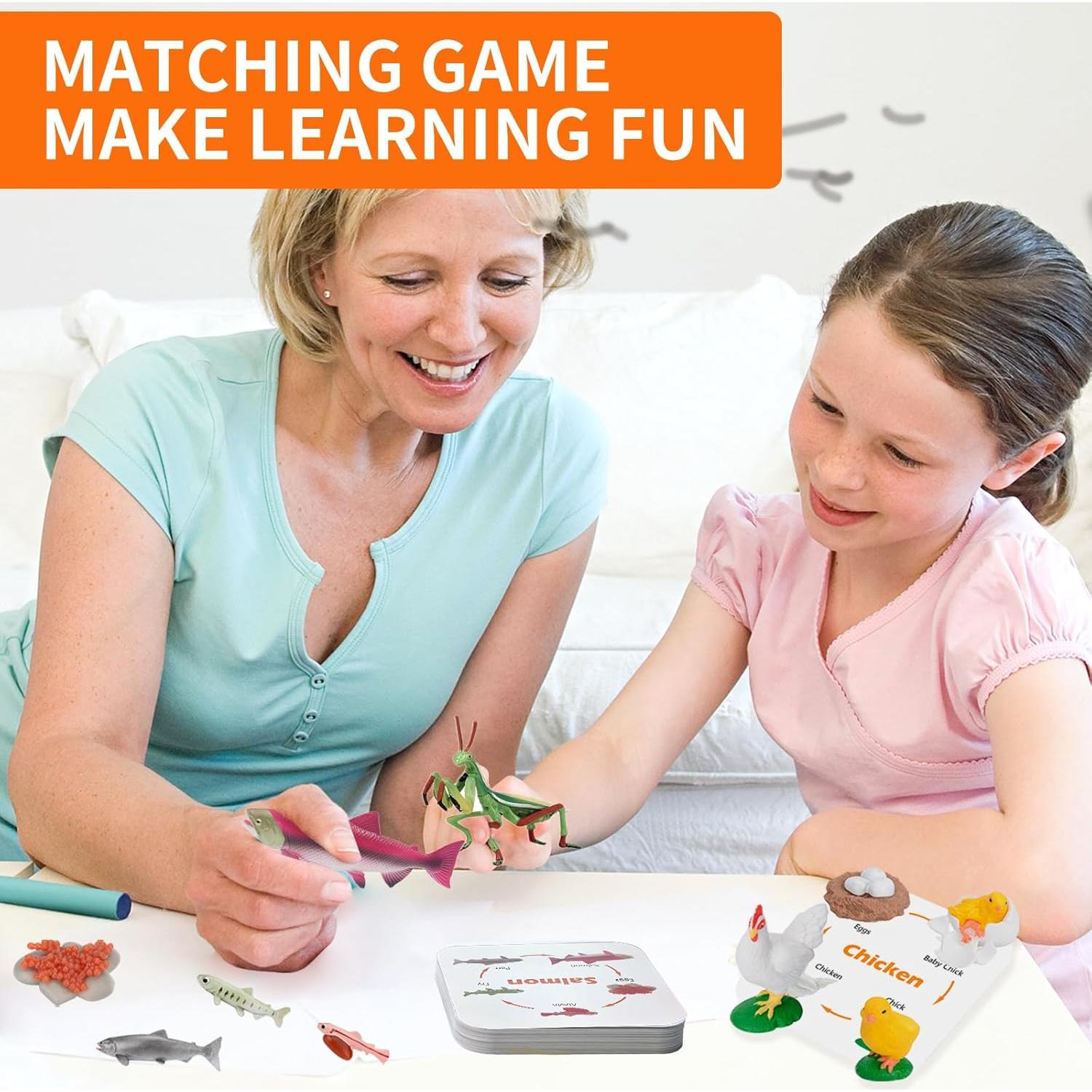 Figuras de Ciclo de Vida Montessori MIKNEKE - 6 Animales