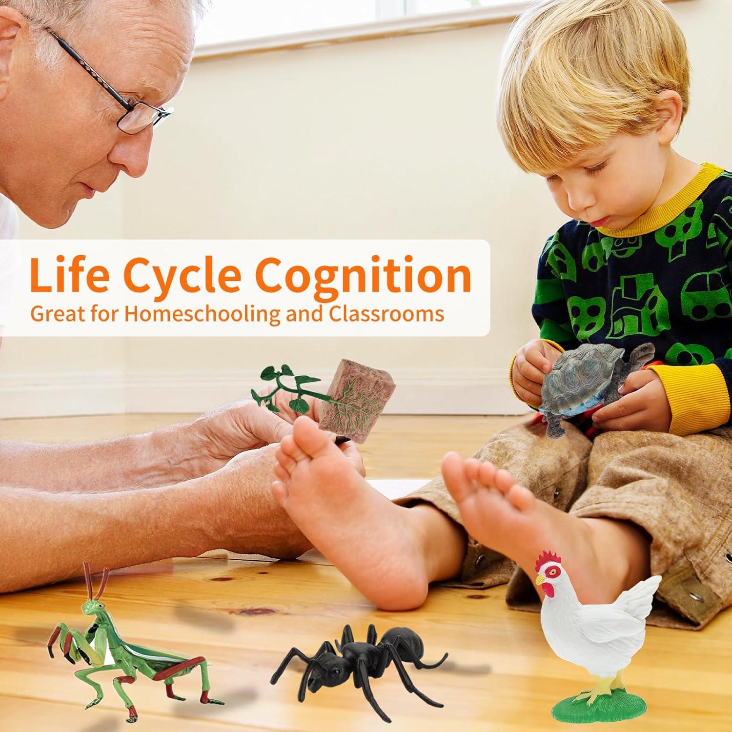 Figuras de Ciclo de Vida Montessori MIKNEKE - 6 Animales