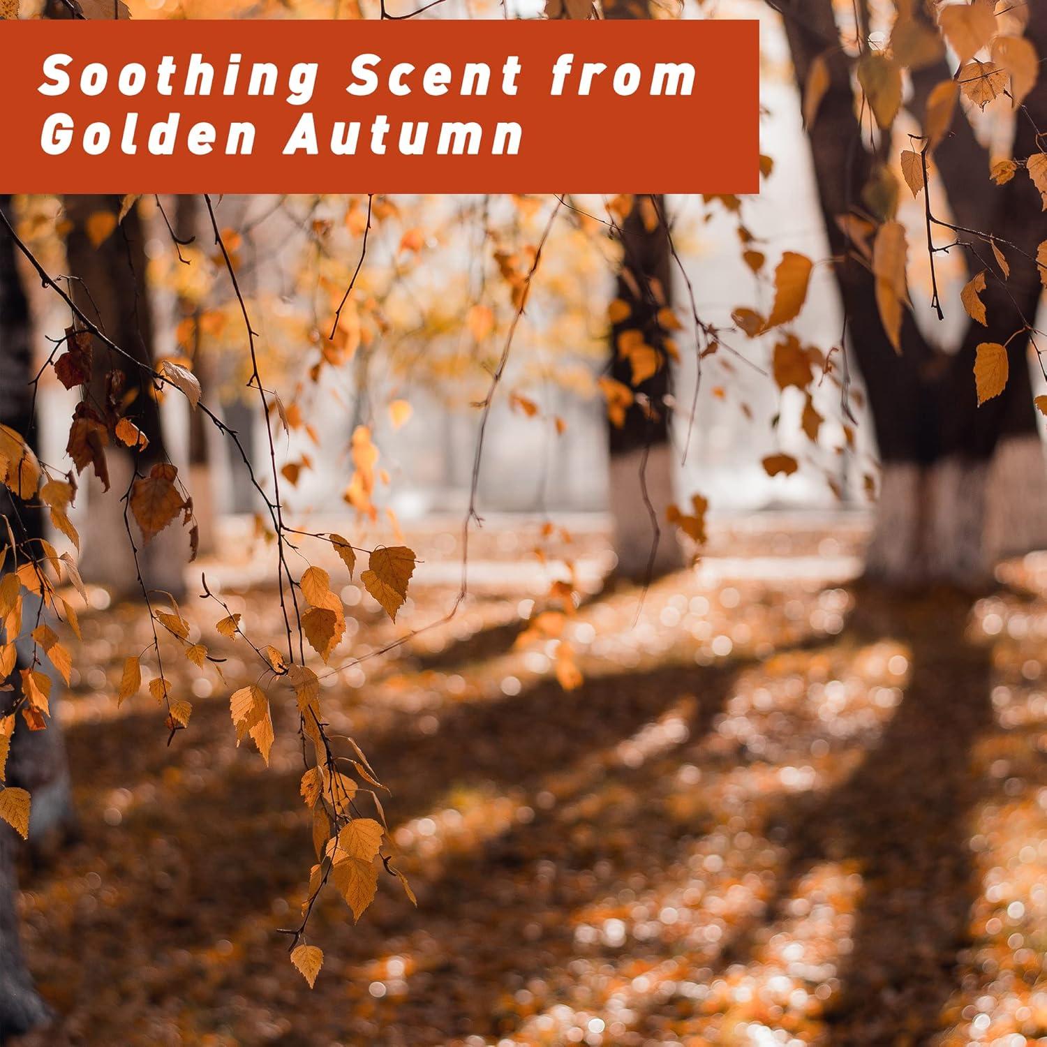 Aceites Esenciales de Otoño ESSLUX - 6x10 ml Aromas Naturales