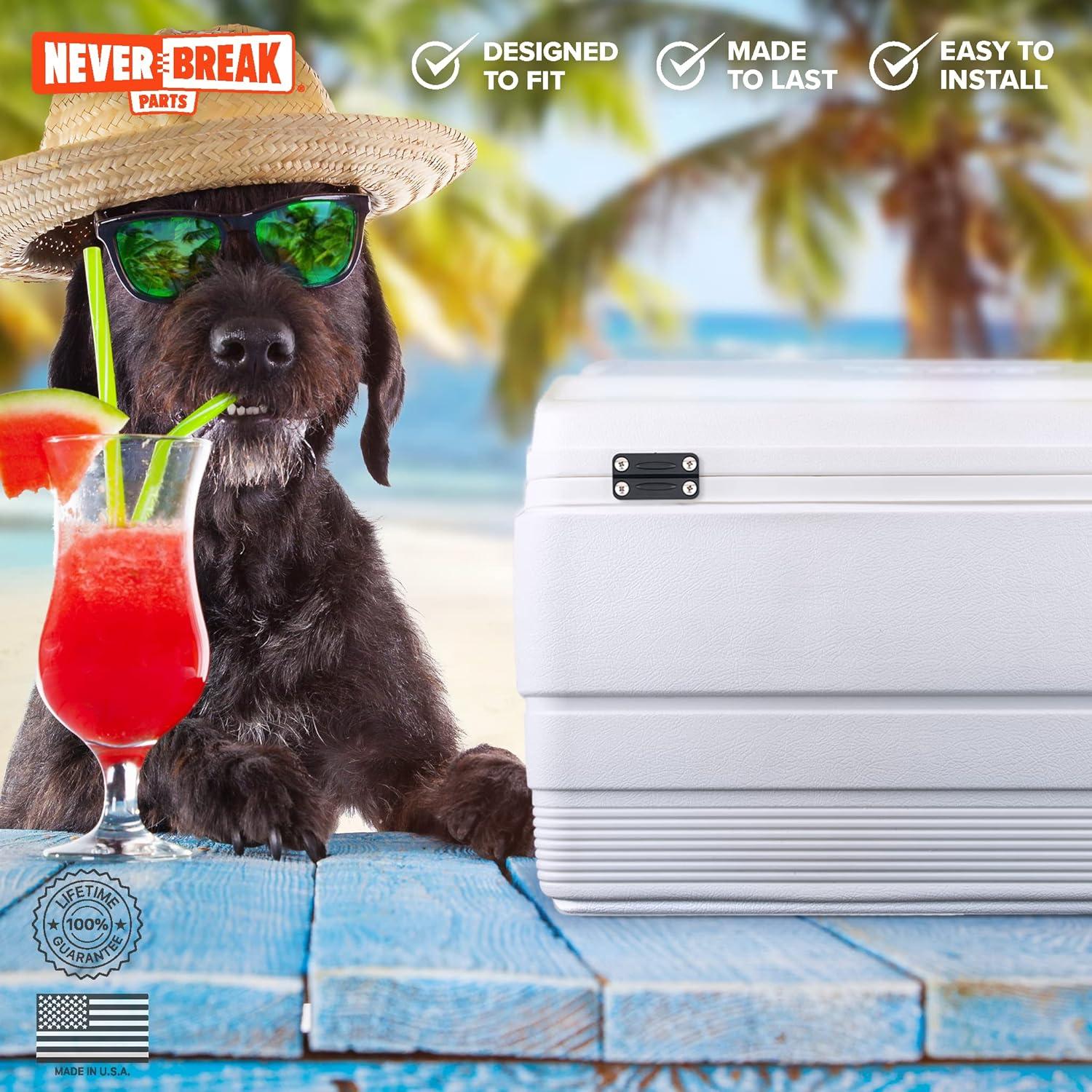 Bisagras NeverBreak para Nevera Igloo Negras - 2 Piezas