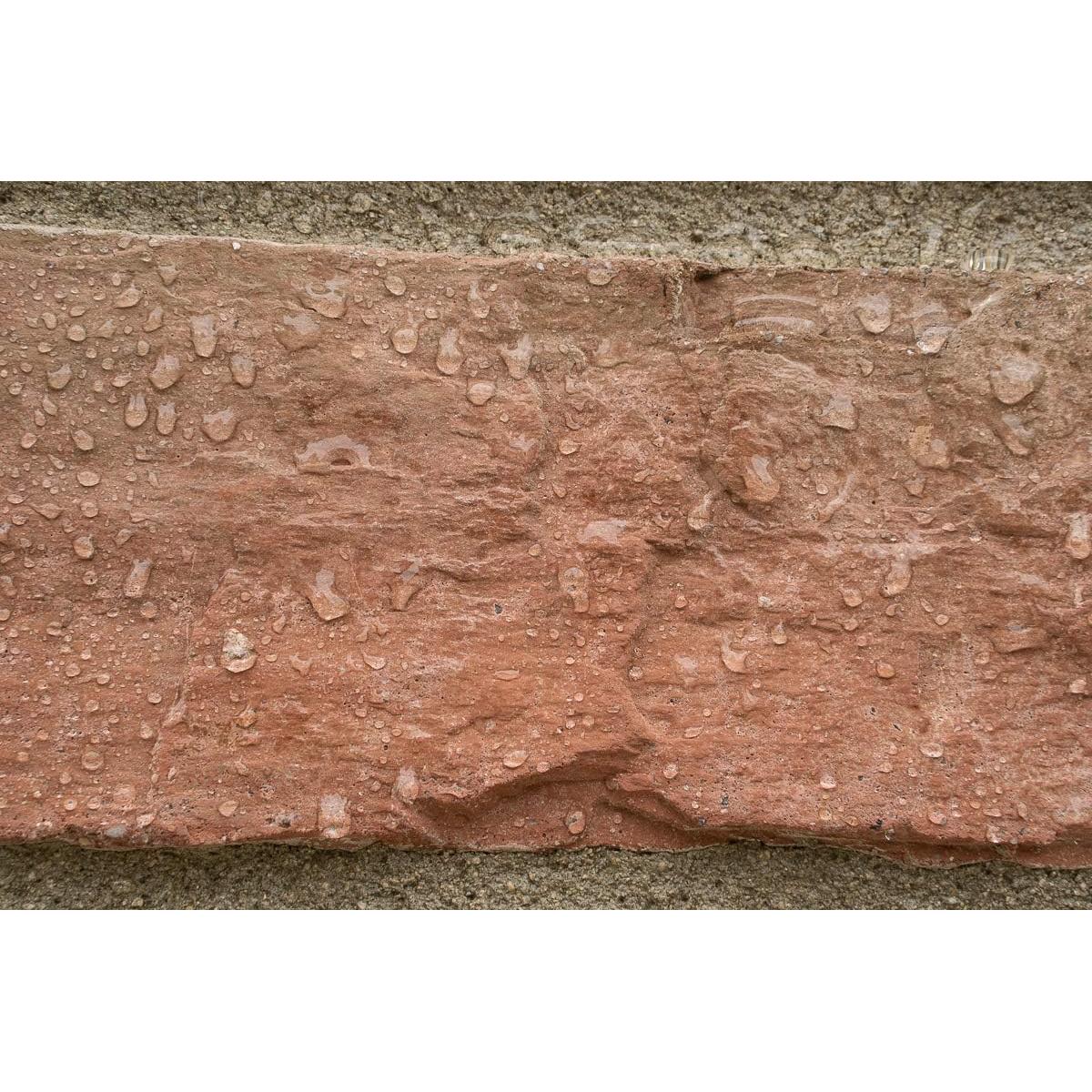 Sellador Impermeable para Concreto y Ladrillo MasonryDefender 1 Galón