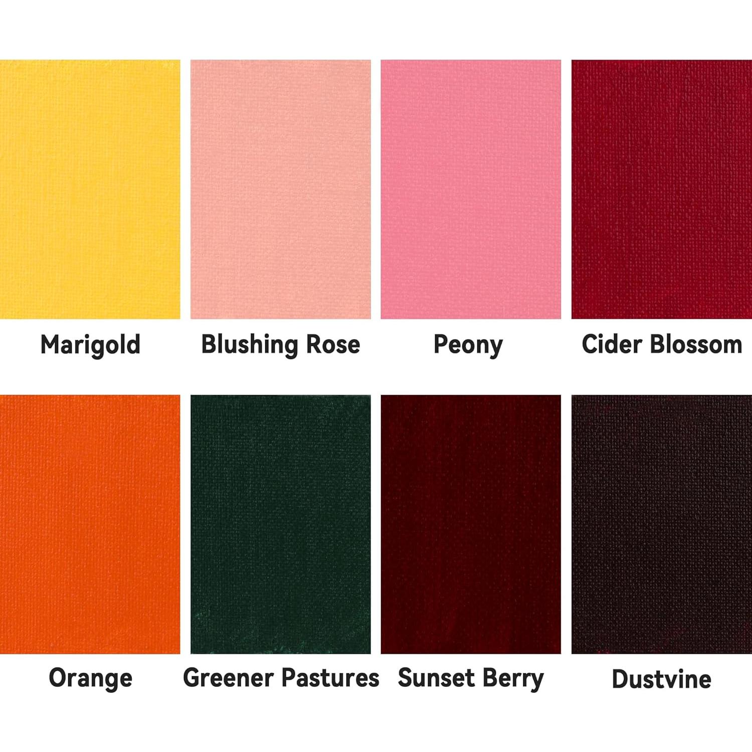 Set de Pintura Acrílica AUREUO 8 Colores Otoño 168.5ml