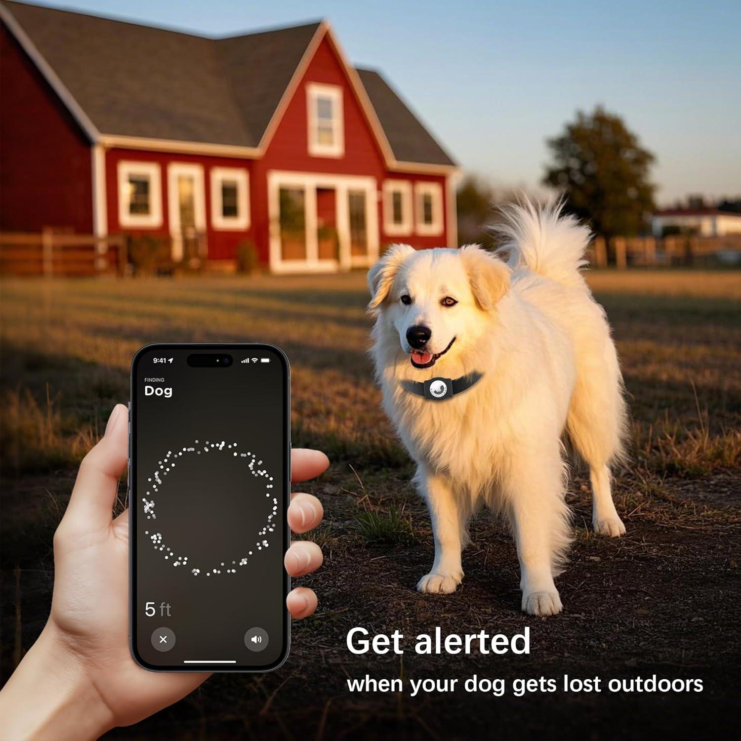 Soporte para AirTag de Perro WhoseID - Silicona y ABS Negro