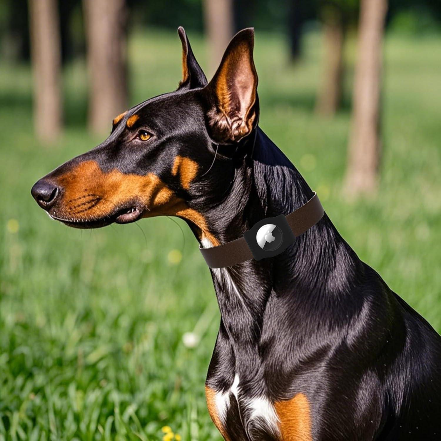 Soporte para AirTag de Perro WhoseID - Silicona y ABS Negro