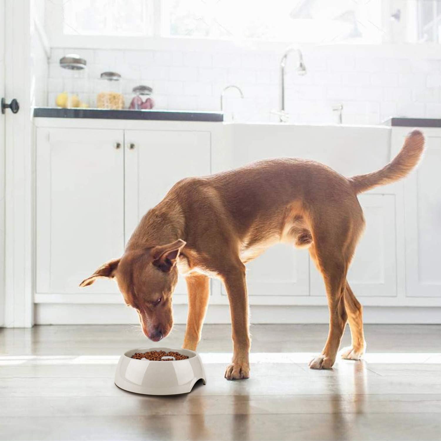 Cuenco Antideslizante para Perros Flexzion 600ML - Alimentación Lenta