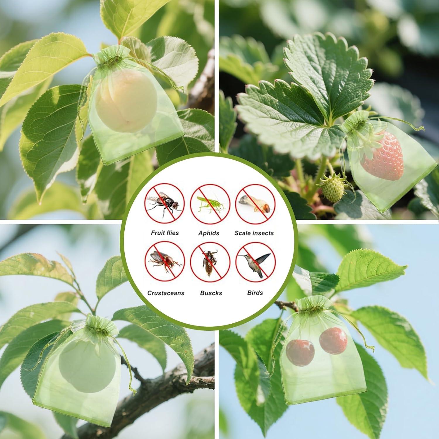 Bolsas de Protección de Frutas QenFree 10.16x15.24 cm 100pcs