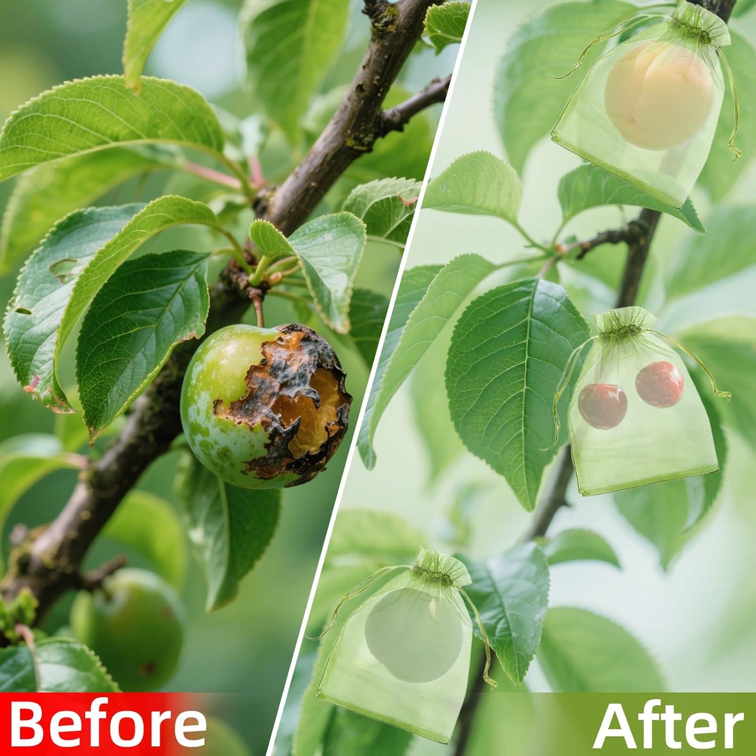 Bolsas de Protección de Frutas QenFree 10.16x15.24 cm 100pcs