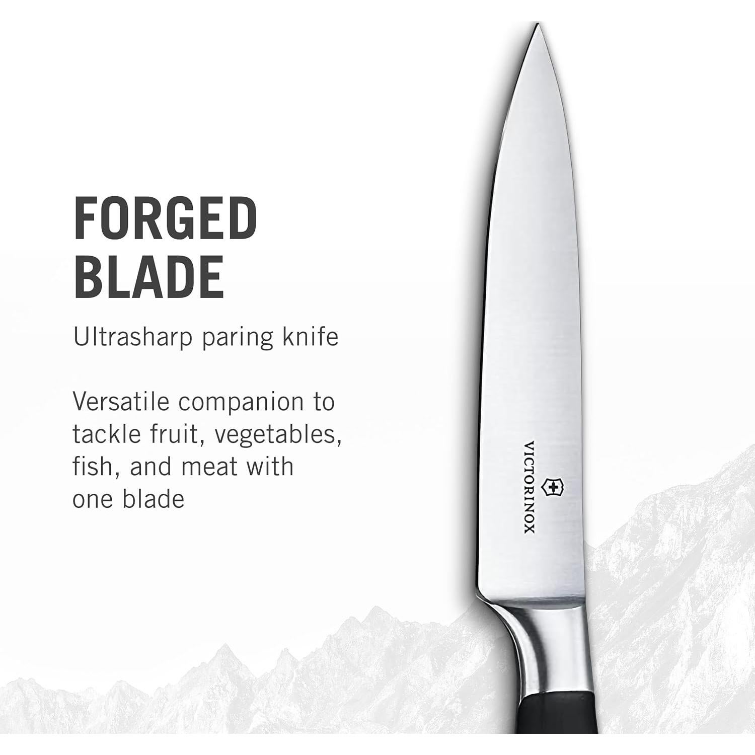 Cuchillo de Pelar Victorinox Grand Maitre 10 cm Acero Inoxidable