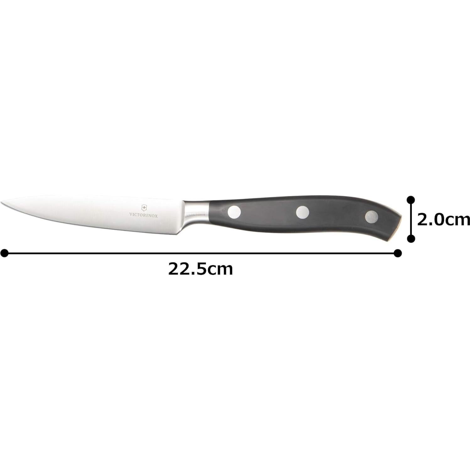 Cuchillo de Pelar Victorinox Grand Maitre 10 cm Acero Inoxidable