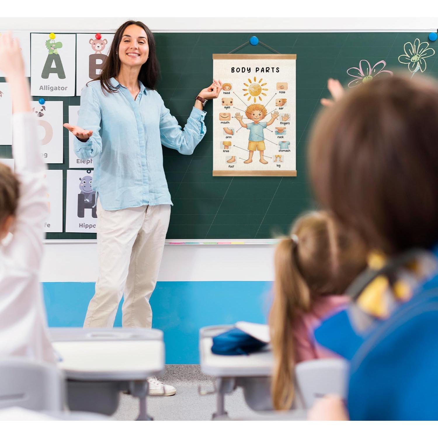 Póster Educativo de Partes del Cuerpo ZTGDA 30x40 cm