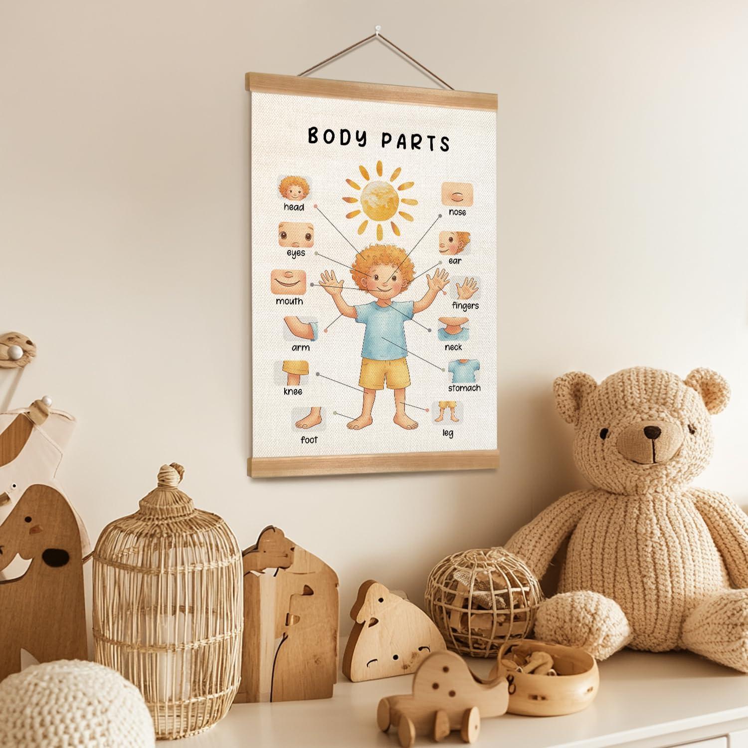 Póster Educativo de Partes del Cuerpo ZTGDA 30x40 cm