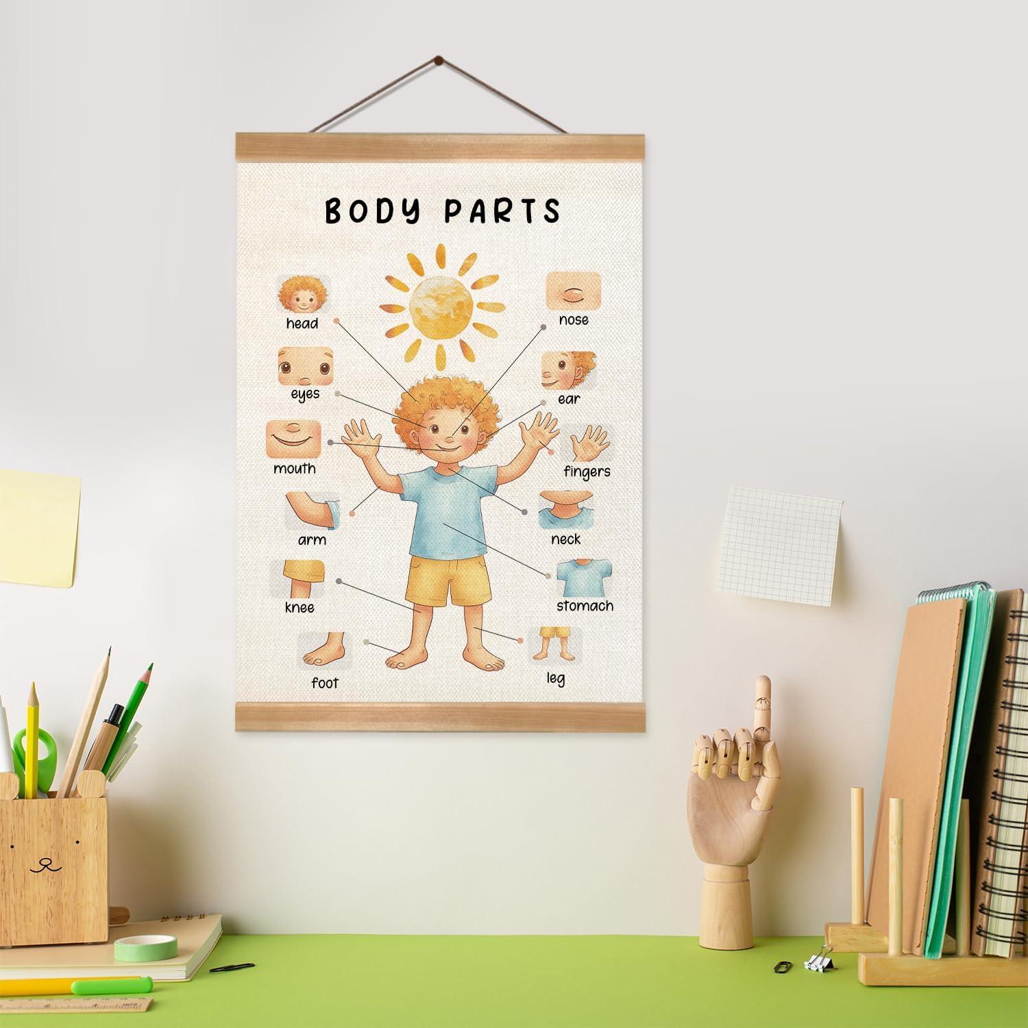 Póster Educativo de Partes del Cuerpo ZTGDA 30x40 cm