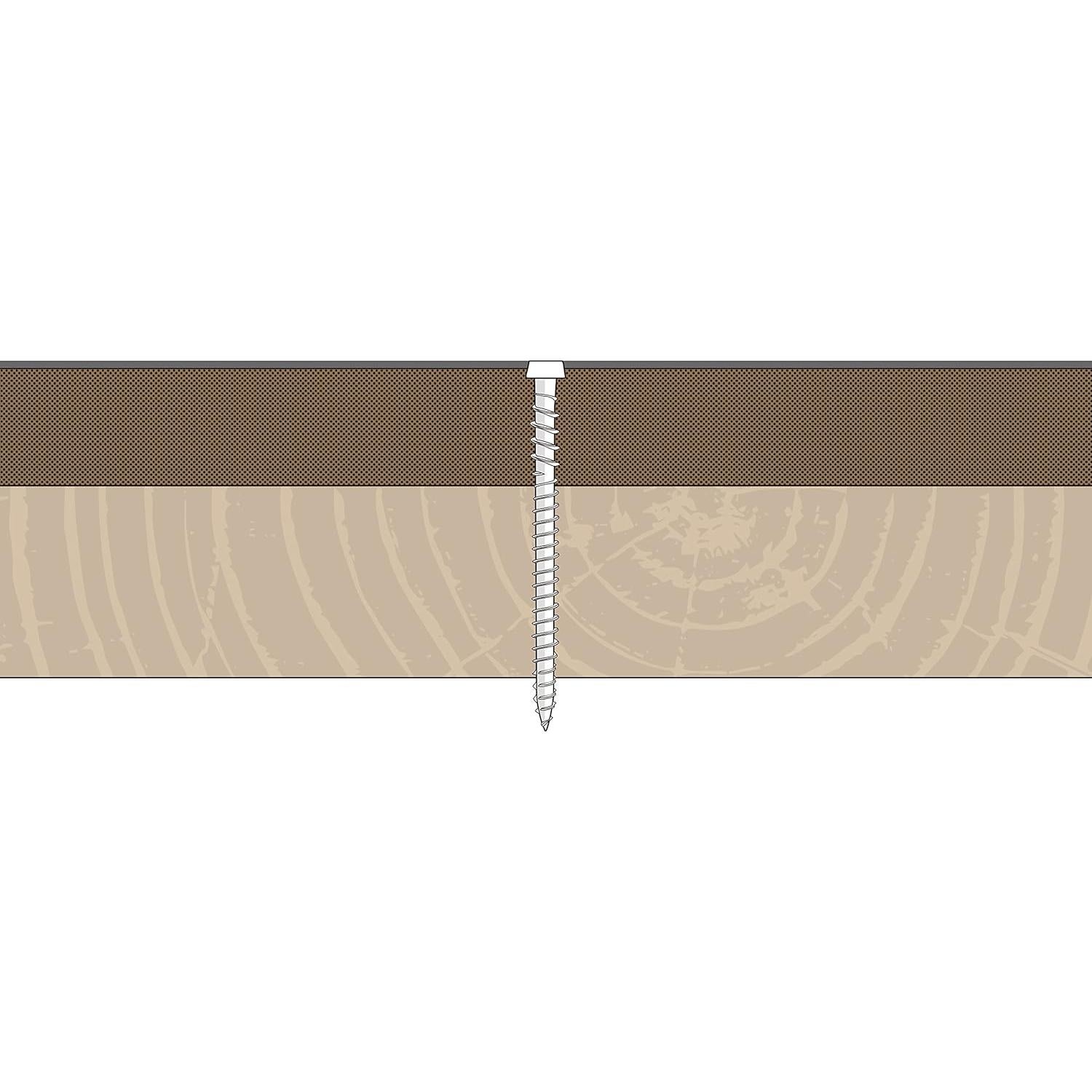 Tornillos de Acero Inoxidable #10 x 63.5 mm YYL 75 unidades