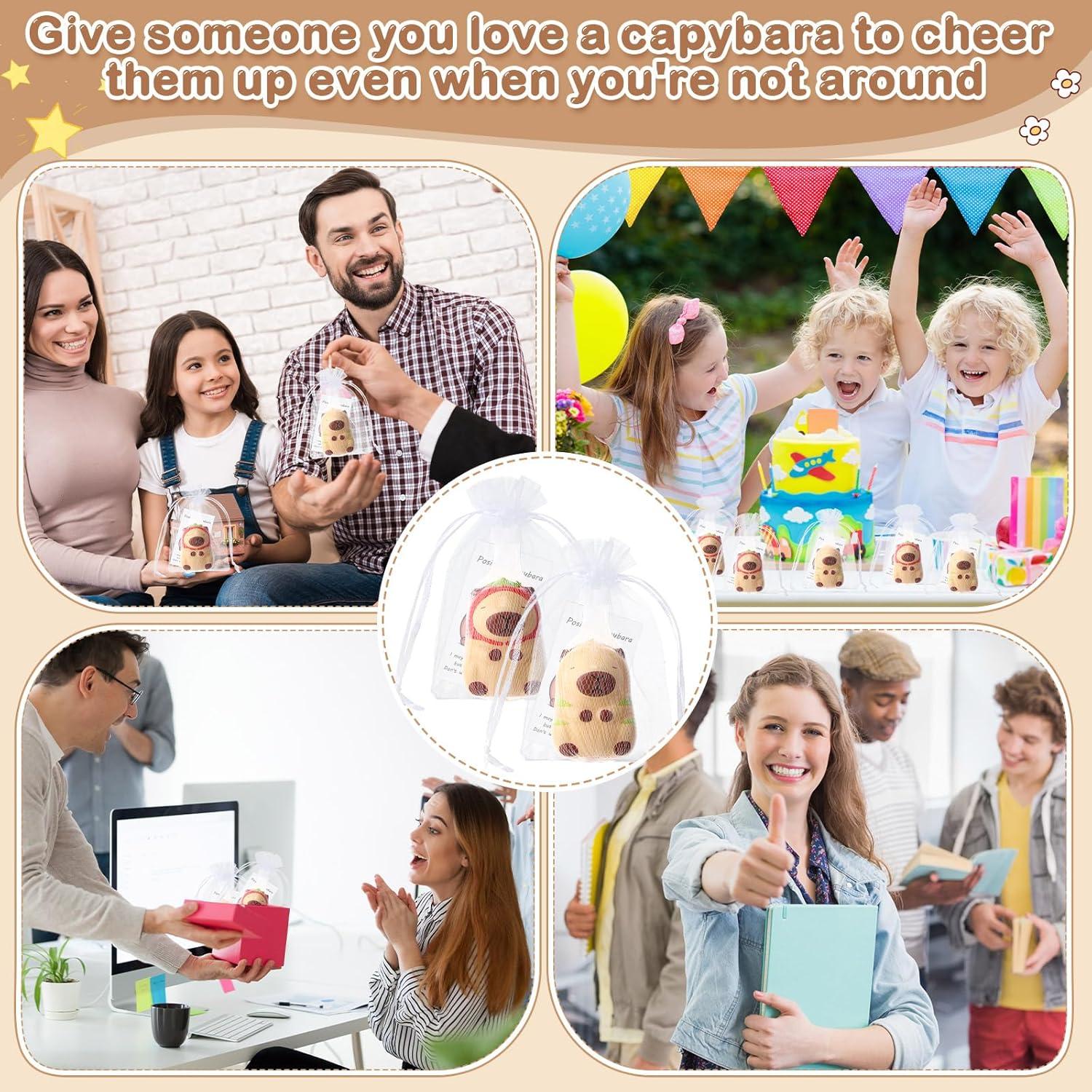 Set de 12 Mini Capibaras Antiestrés RoundFunny con Tarjetas