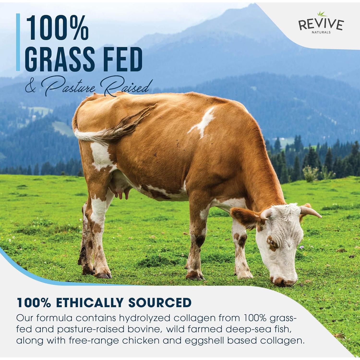 Polvo de Proteína de Colágeno Múltiple Revive Naturals 20 Paquetes