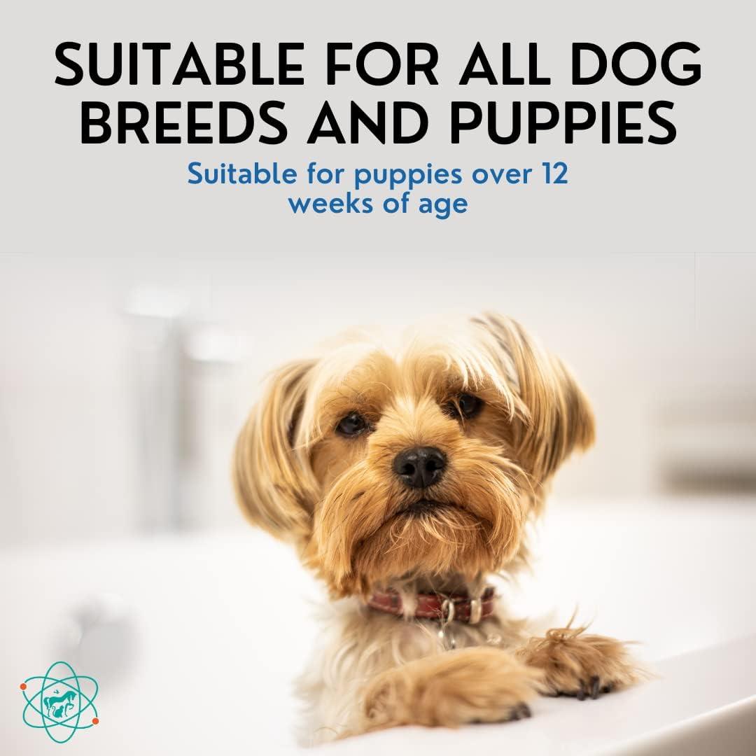 Champú 5 en 1 para Perros PET CARE Sciences 1 Galón