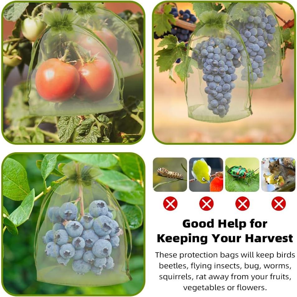 100 Bolsas de Protección de Frutas SythorYang 10x15 cm Verde