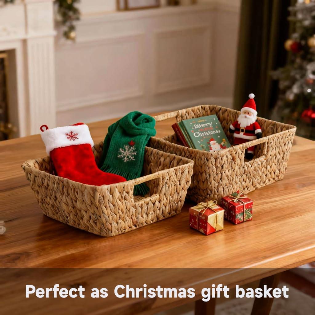 Juego de 2 Cestas de Almacenamiento DAICOLAD Cuadradas