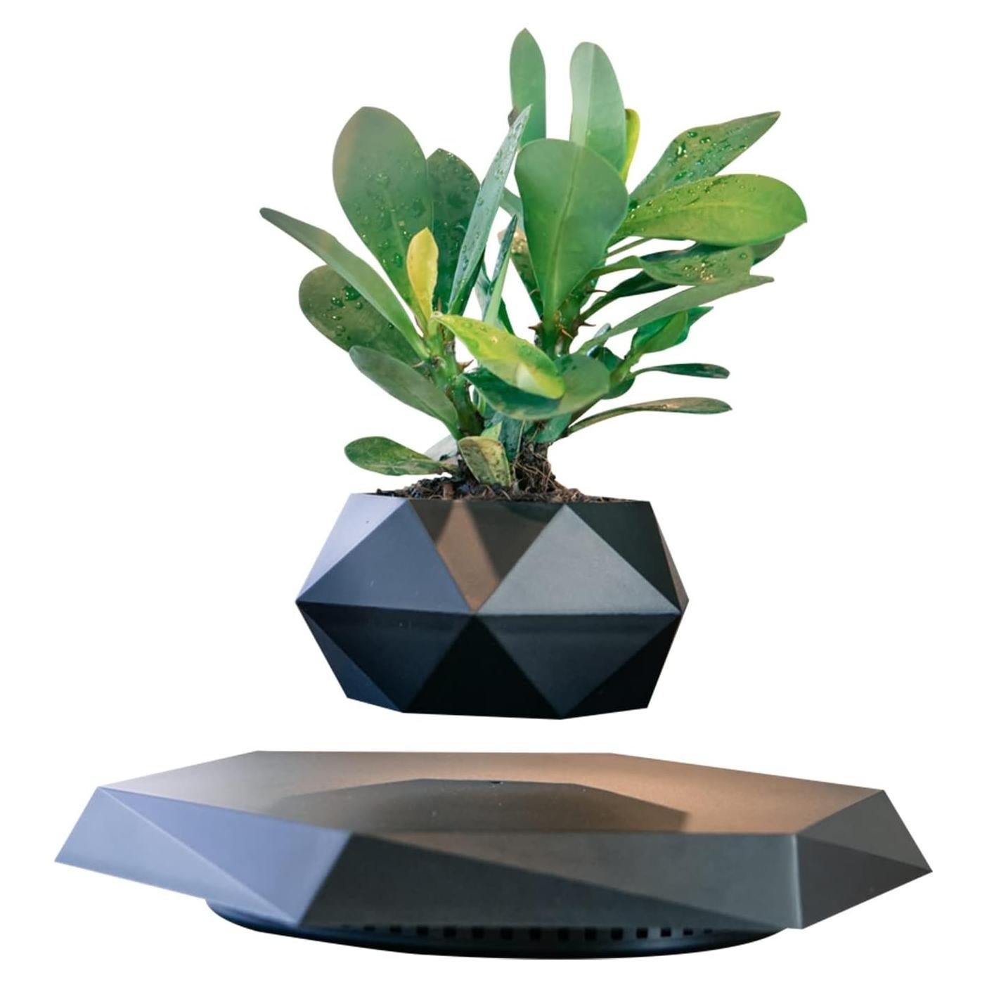 Maceta Flotante Magnética INOVAXION Hexagonal Negra 19.3cm