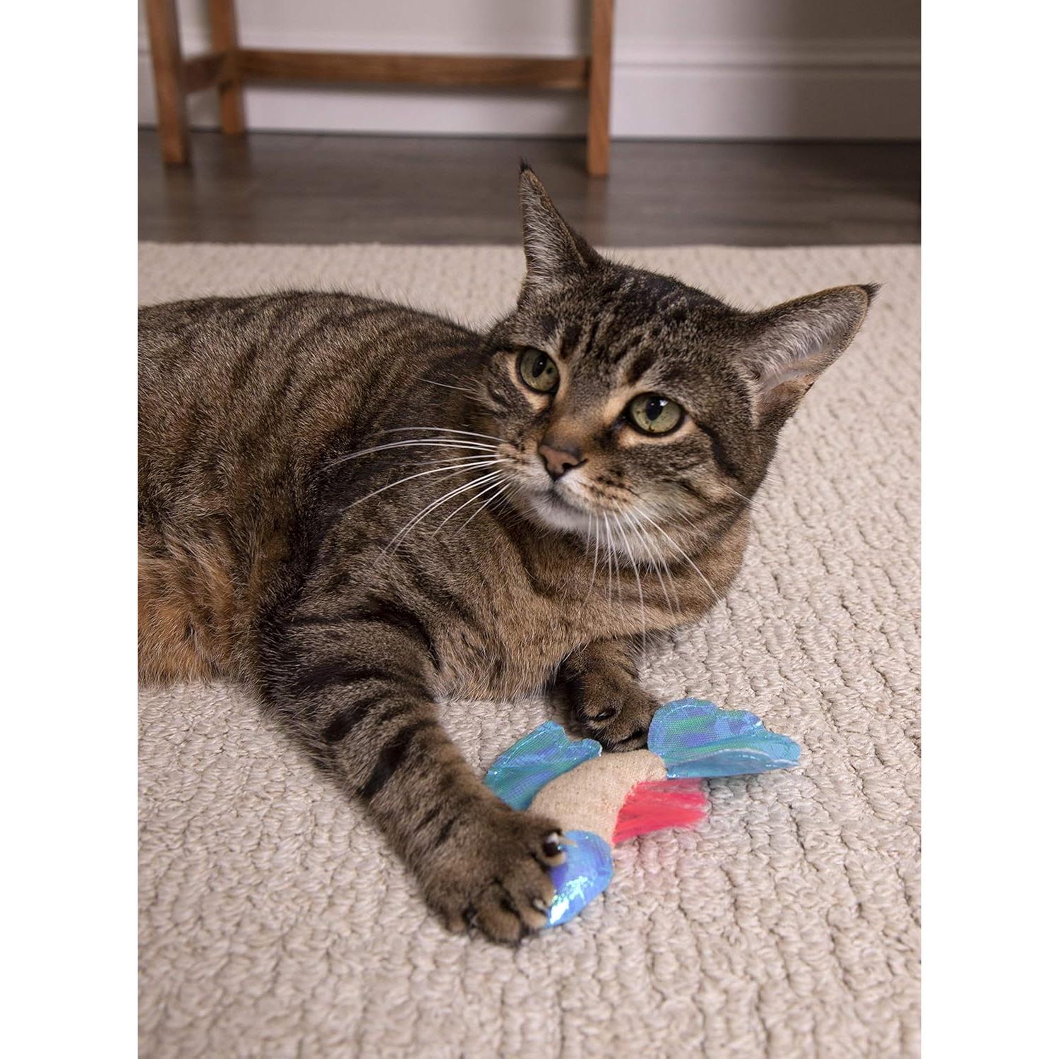 Juguete para Gato Petlinks Batty Beta Fish Crinkle - Beige/Azul