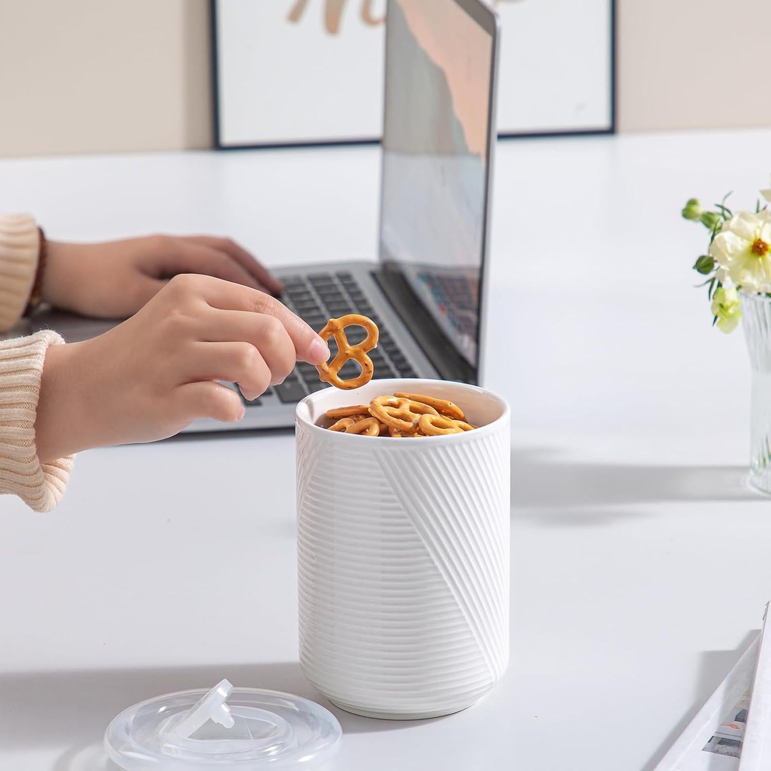 Tarros de Almacenamiento de Cerámica Herméticos 651 g - Blanco