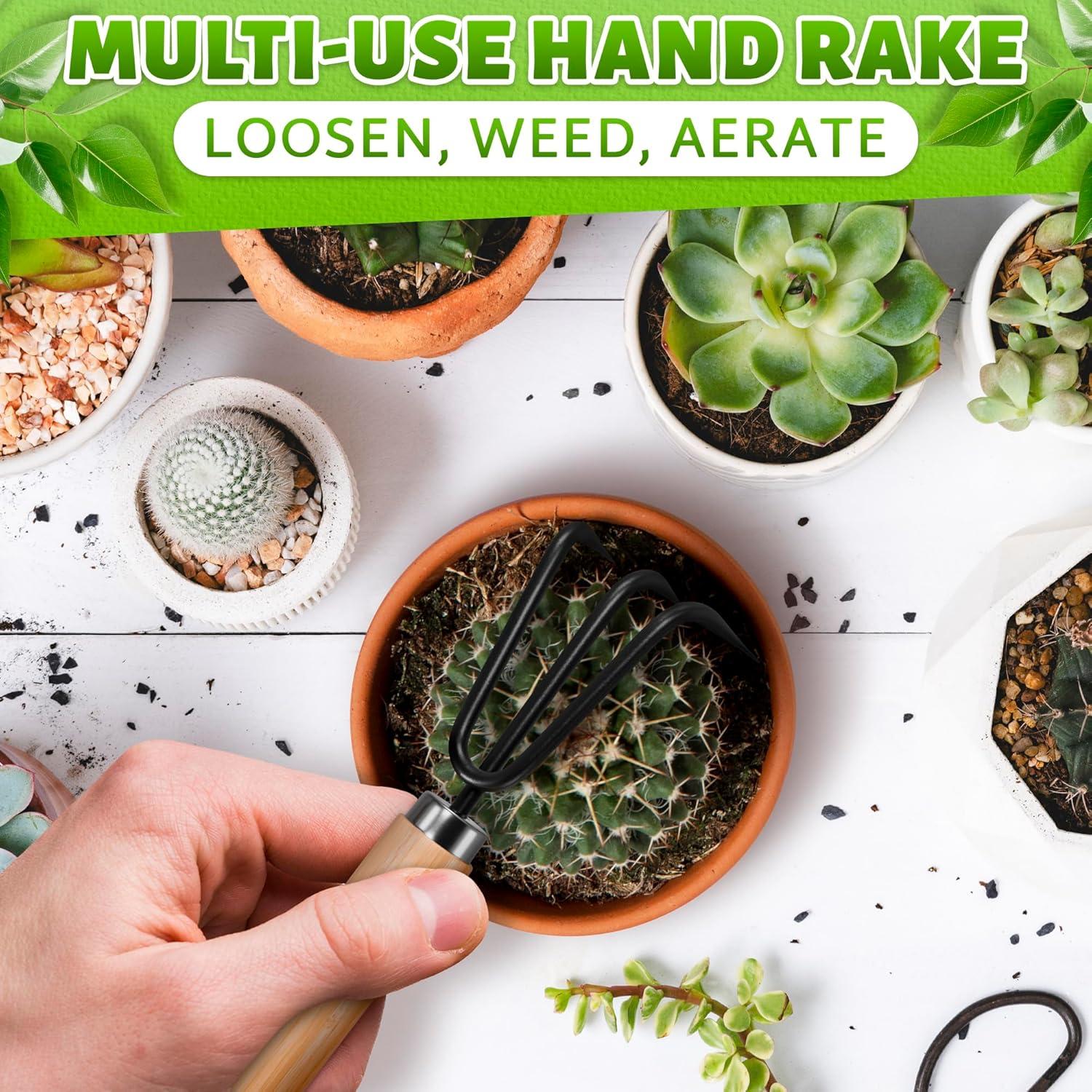 Juego de Herramientas de Jardín ZOKLU 3 Piezas Ergonómicas