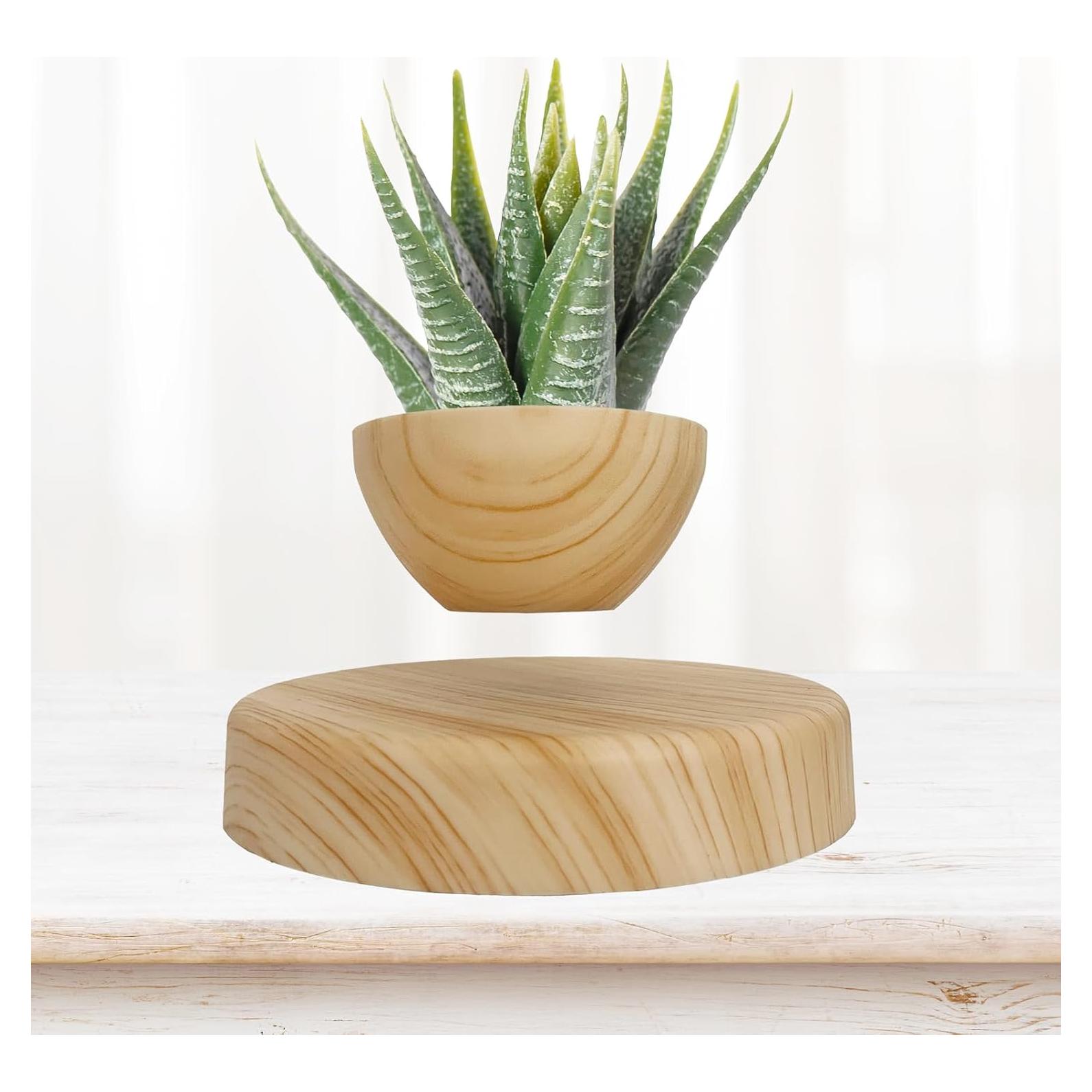 Maceta Flotante Magnética FLYSWITCH 18cm para Suculentas